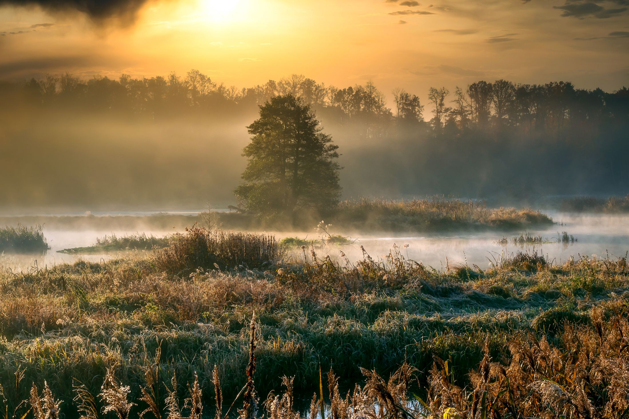 landscape  fog  water  nature  forest  wetlands  autumn  light  sky  clouds  trees  nikon  atmosphere  dawn, Krzysztof Tollas