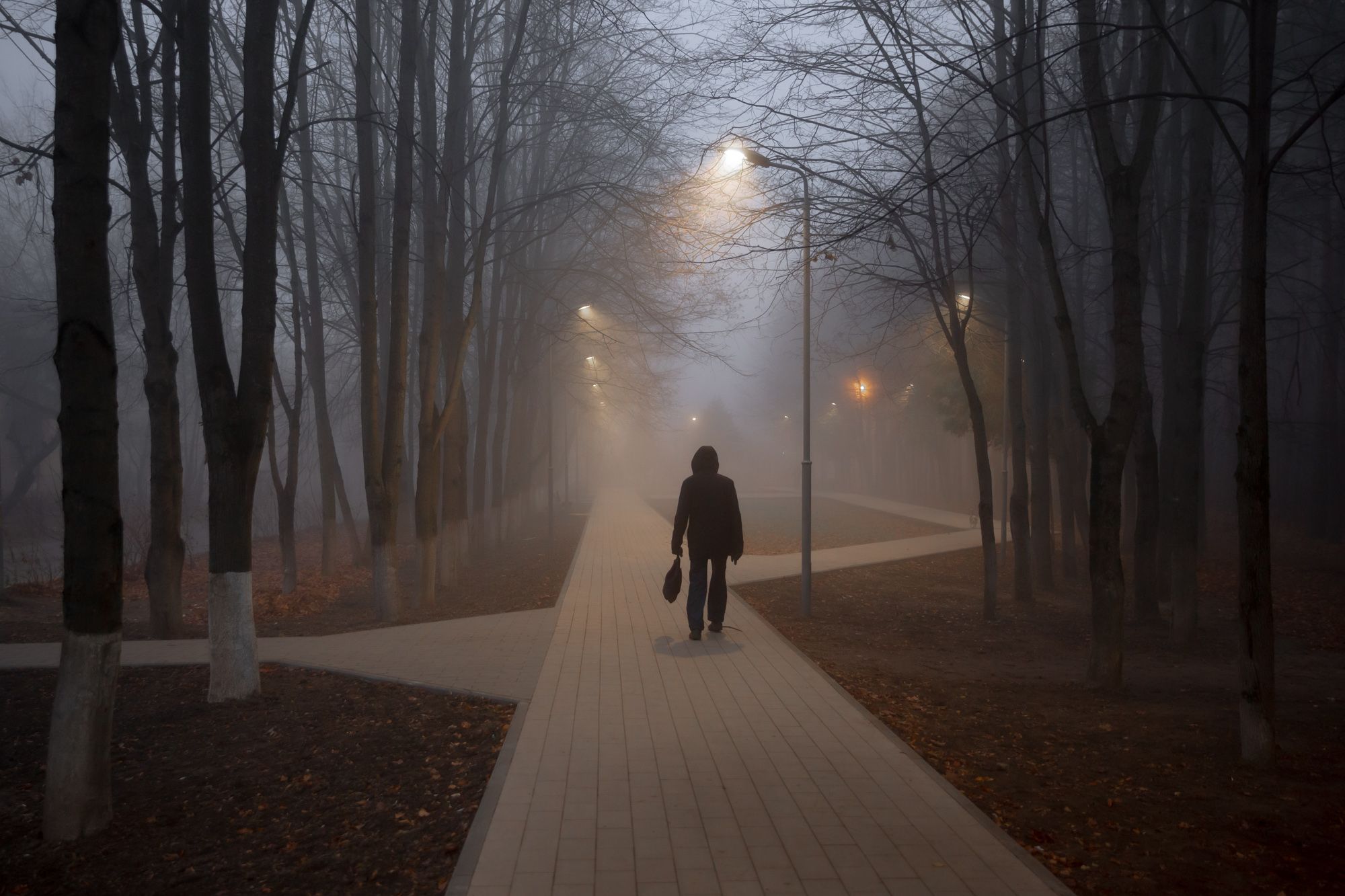 туман  , дорога, раннее утро ,осень, фонари ,выбор, Ирина Назарова