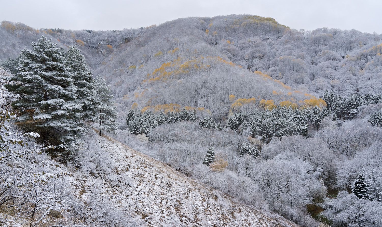 природа,горы, снег, осень, Александр Смолкин