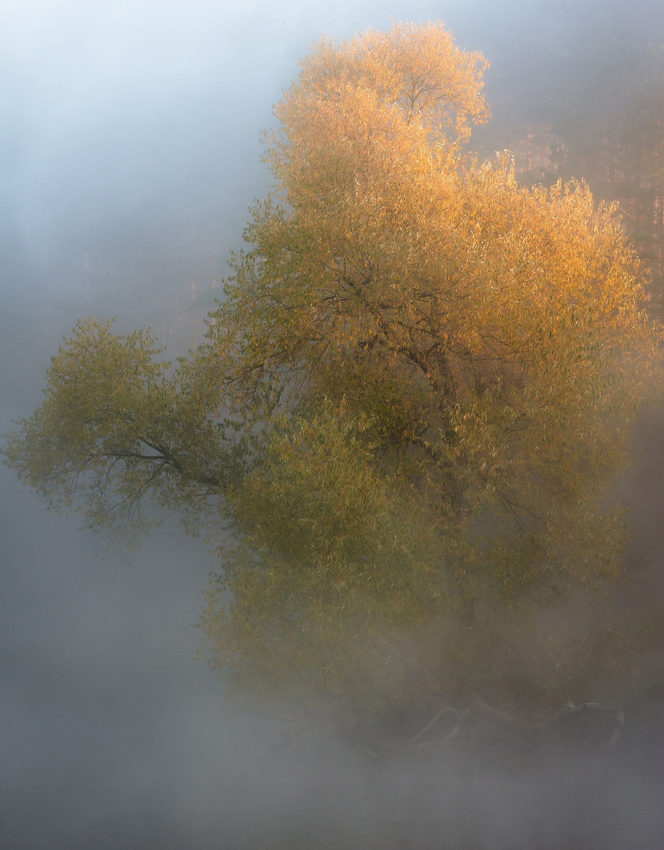утро, осень, туман, Александр Гвоздь