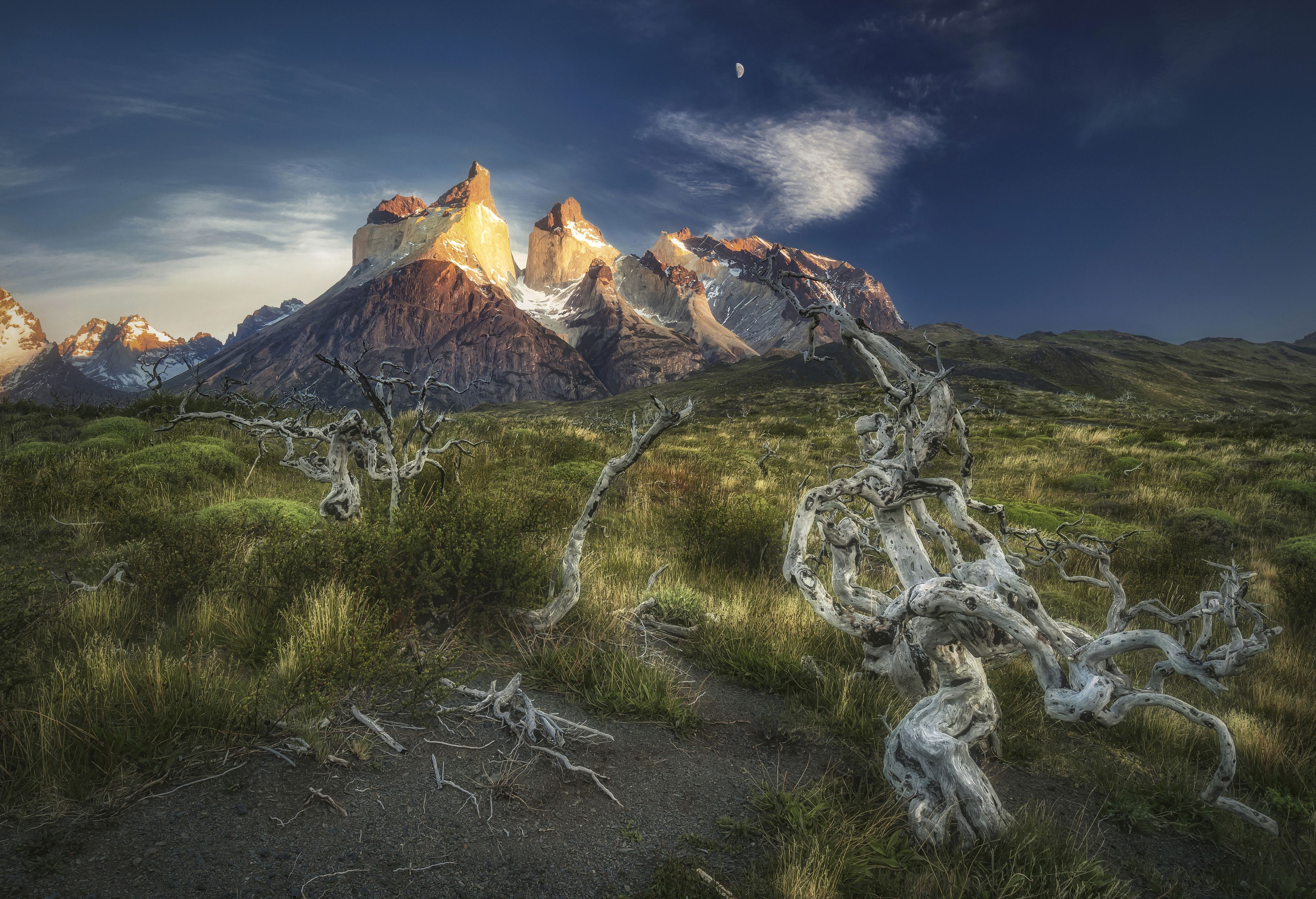 cuernos del paine, torres, patagonia, патагония, утром, Андрей Чабров