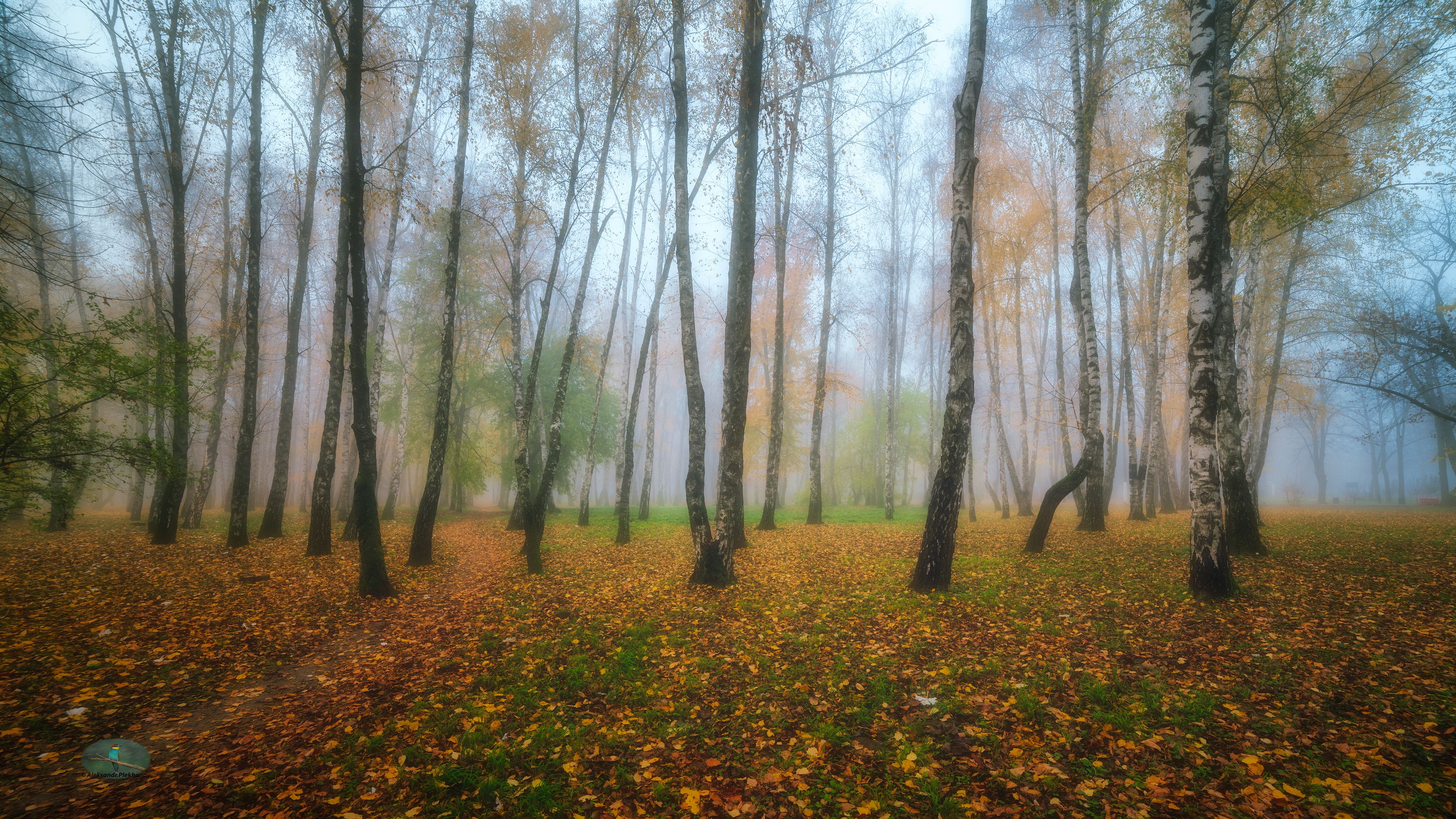осень,туман, Alexander Plekhanov