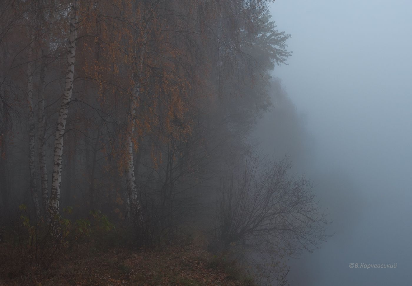 , Володимир Карчевський