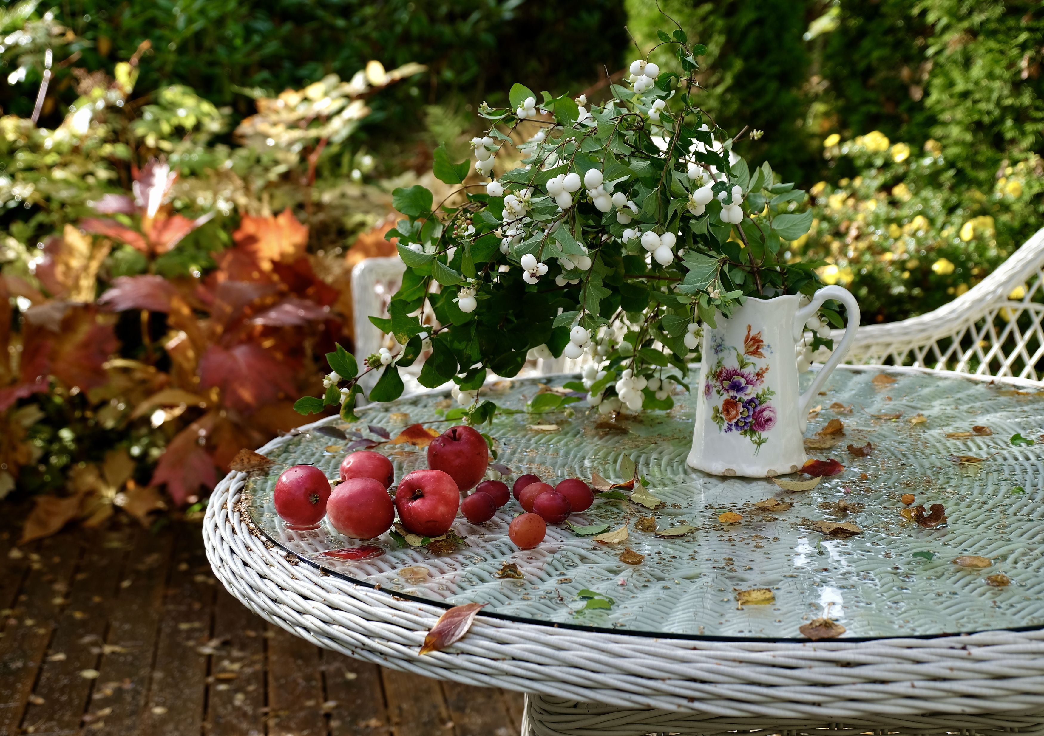 Still life, berries, garden, flora, nature, colors, table, apple, plums, autumn, fall, mood, leaves, , Svetlana Povarova Ree