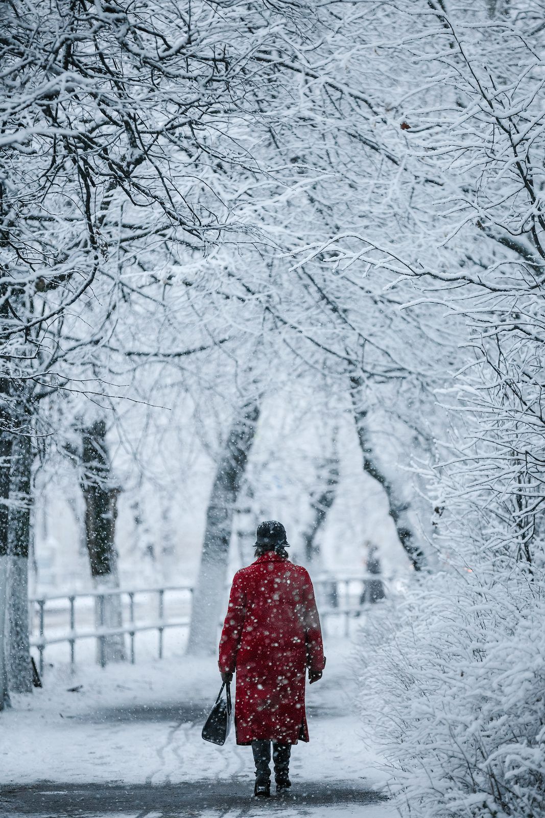 женщина, улица, снег, пальто, движение, Михаил Корнилов