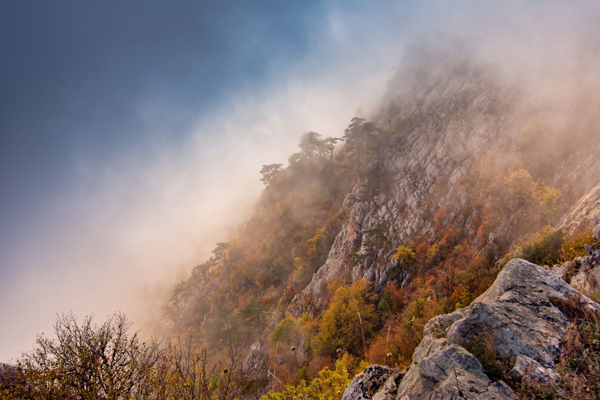 , Александр Овсенёв