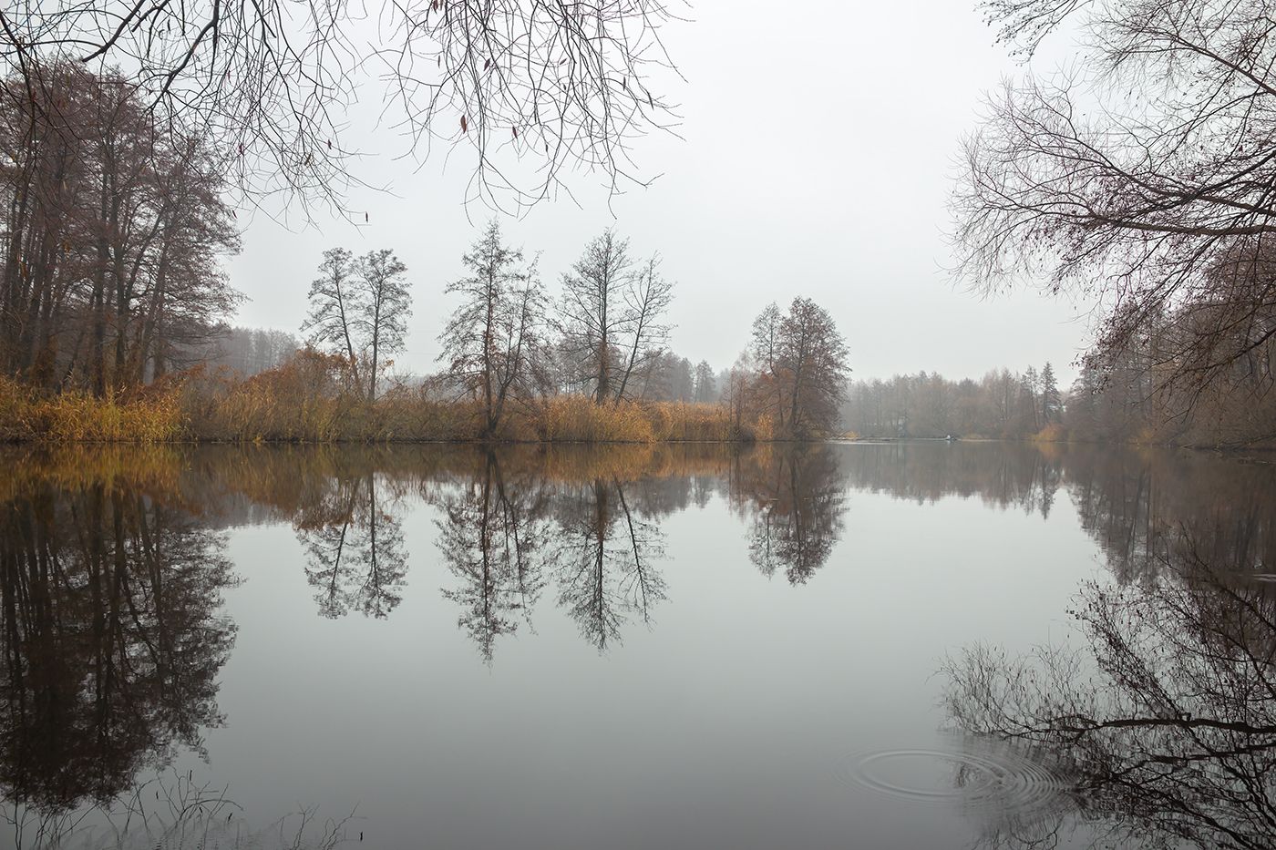 усмань, туман, природа, осень, ноябрь, липецкая область, Руслан Востриков
