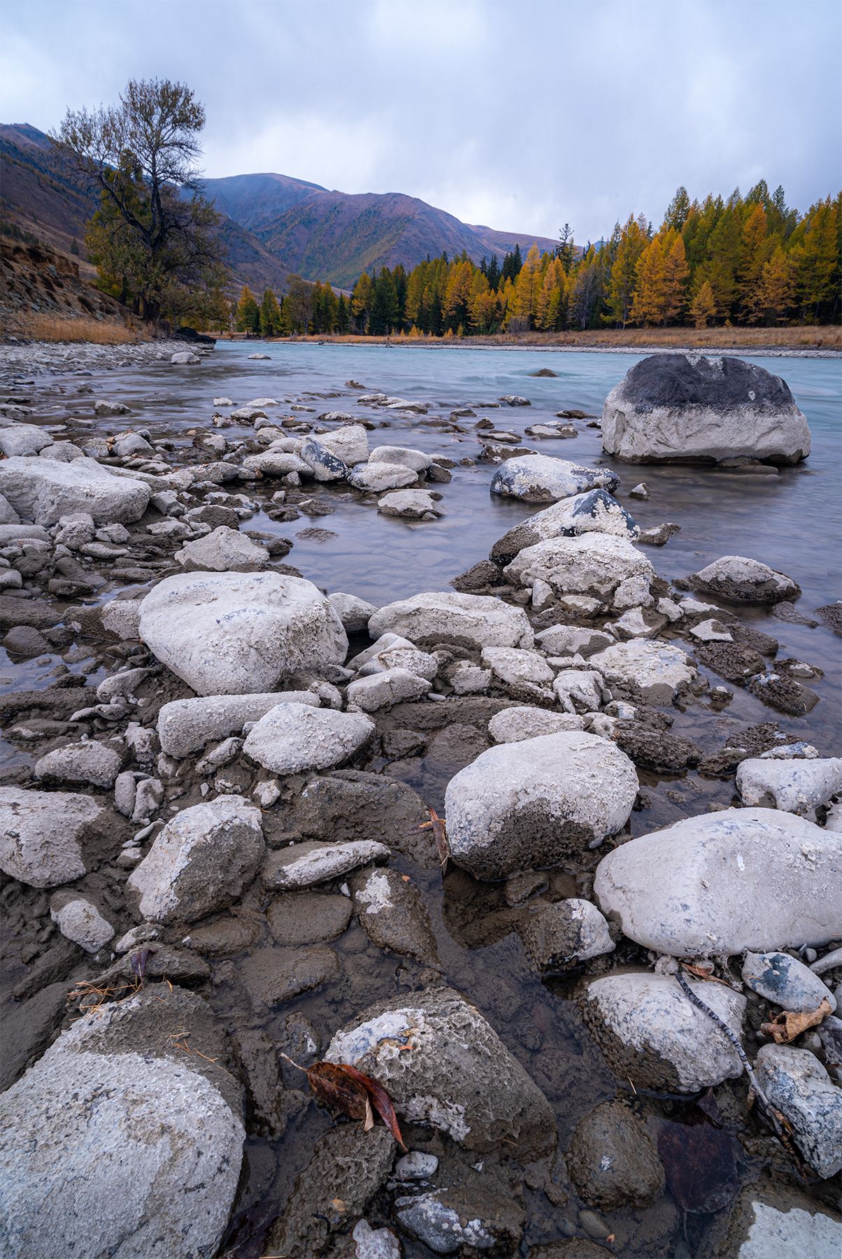 Река, горы, Алтай, пейзаж, осень, Maria Pochikaeva