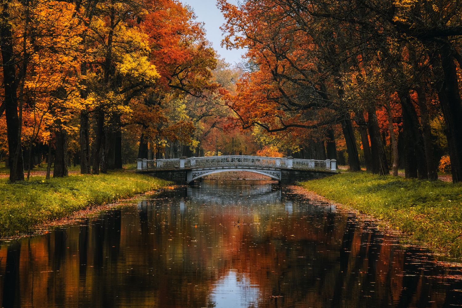 пушкин, осень, мост, царское село, Майя Афзаал