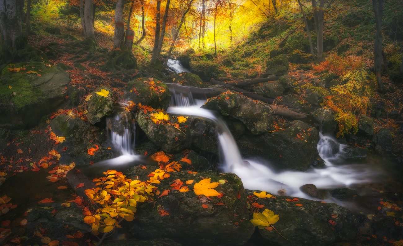 landscape nature scenery forest wood autumn river waterfall colors leaves mountain balkan panorama bulgaria лес, Александър Александров