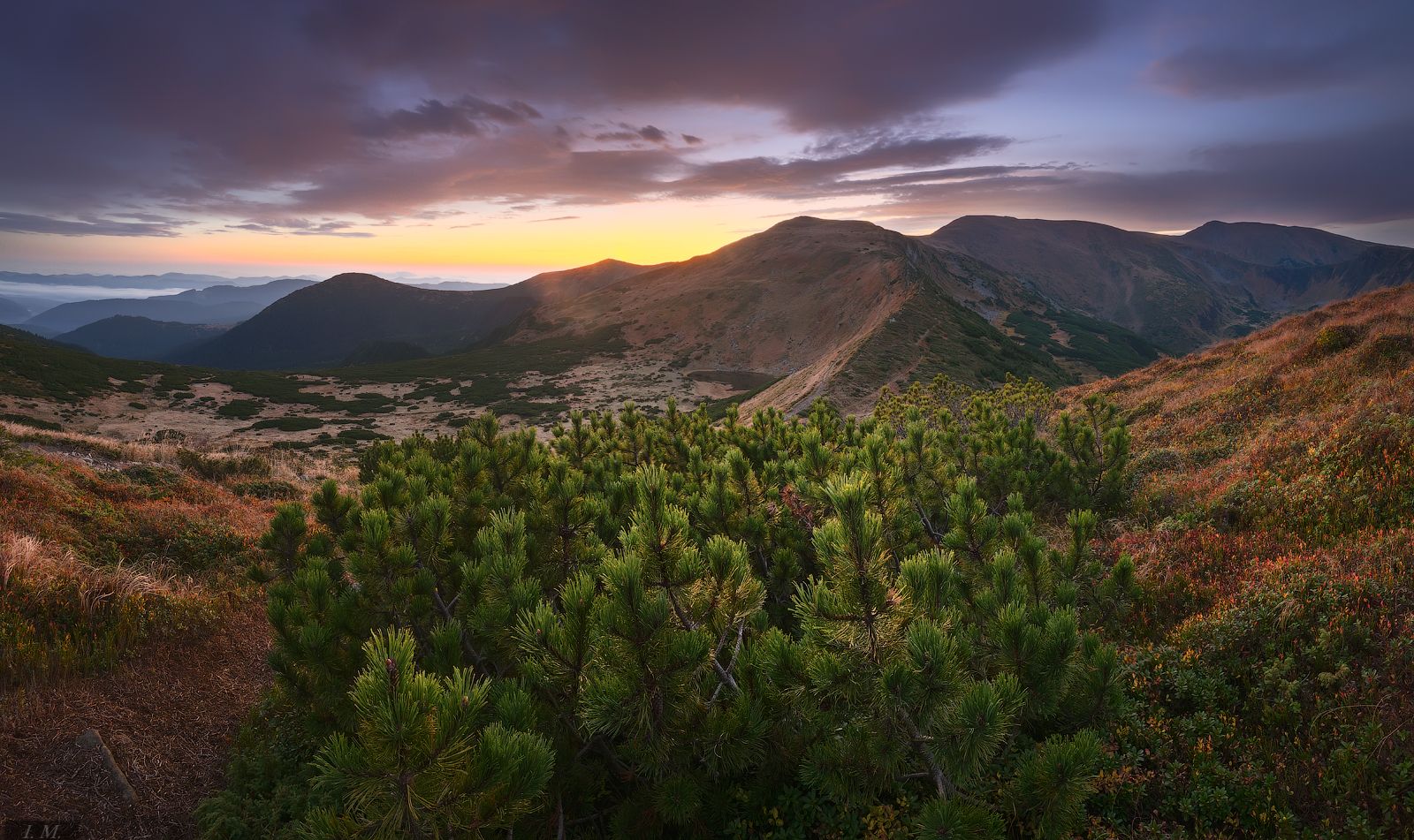 карпаты, черногорский хребет, осень, рассвет, утро, пейзаж, панорама, горы, autumn, mountains, carpathians, panorama, landscape, dawn, morning, travel, hike, carpathian mountains, chornogora, Ivan Maljarenko