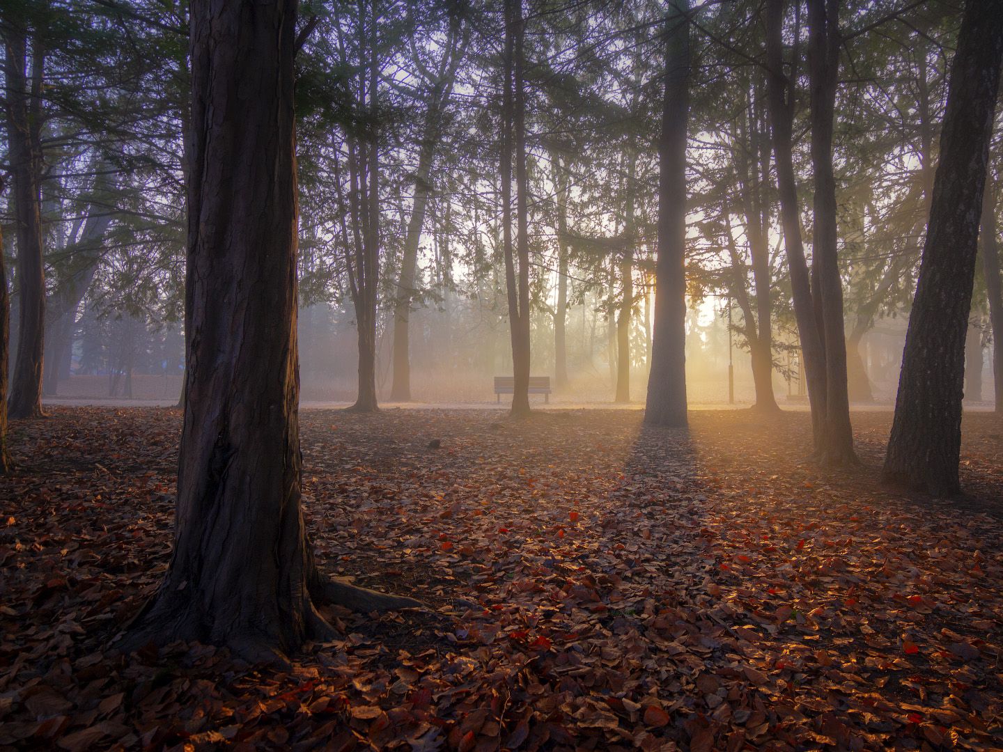 осень, утро, туман, рассвет, autumn, morning, fog, dawn, Виктор Тулбанов