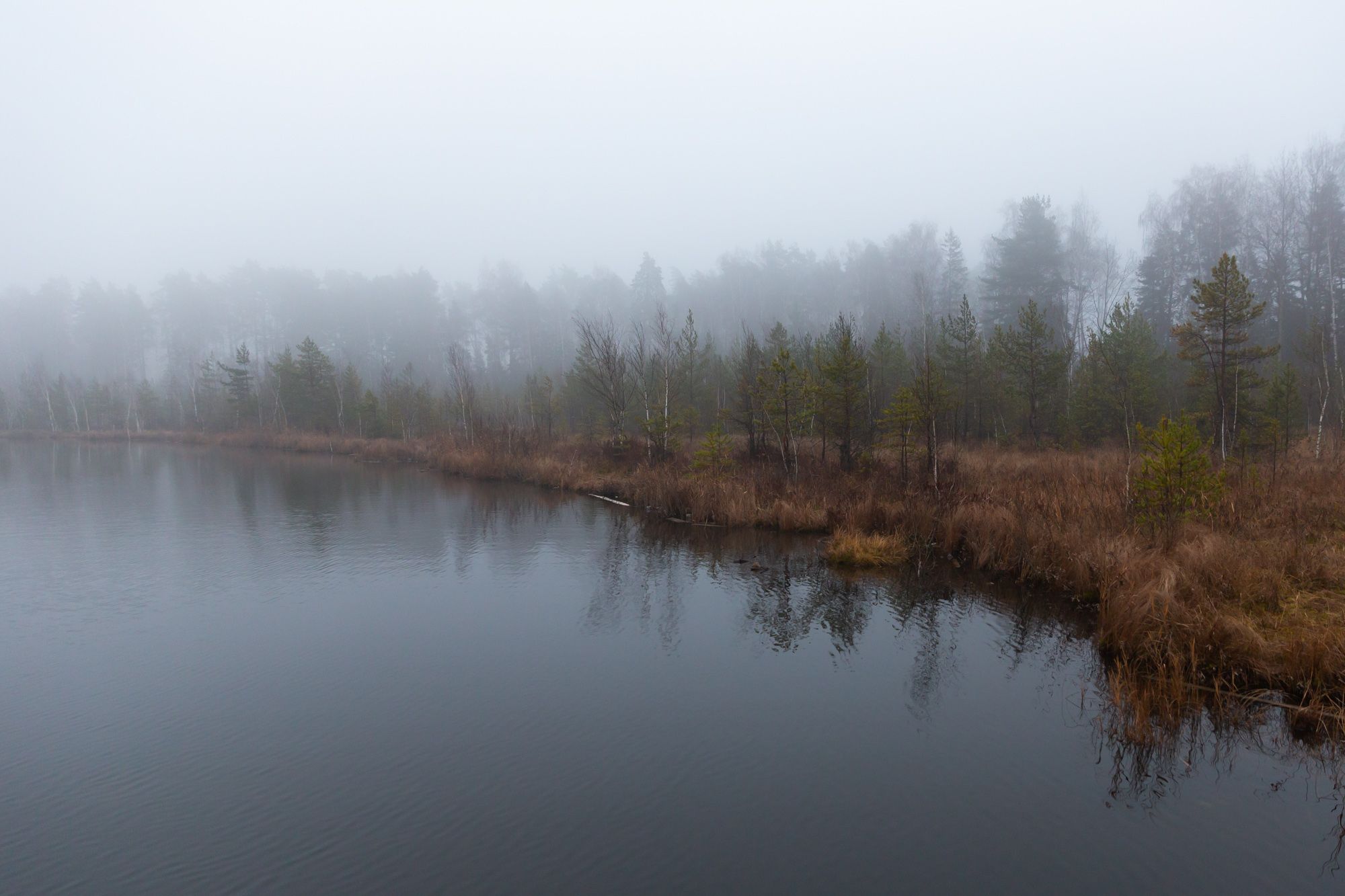 туман ,осень, озеро, Ирина Назарова