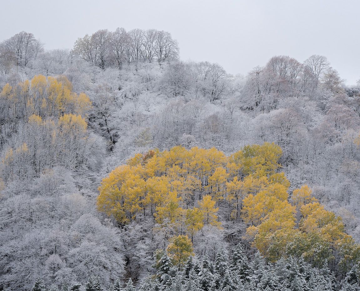 горы, снег, осень, Александр Смолкин