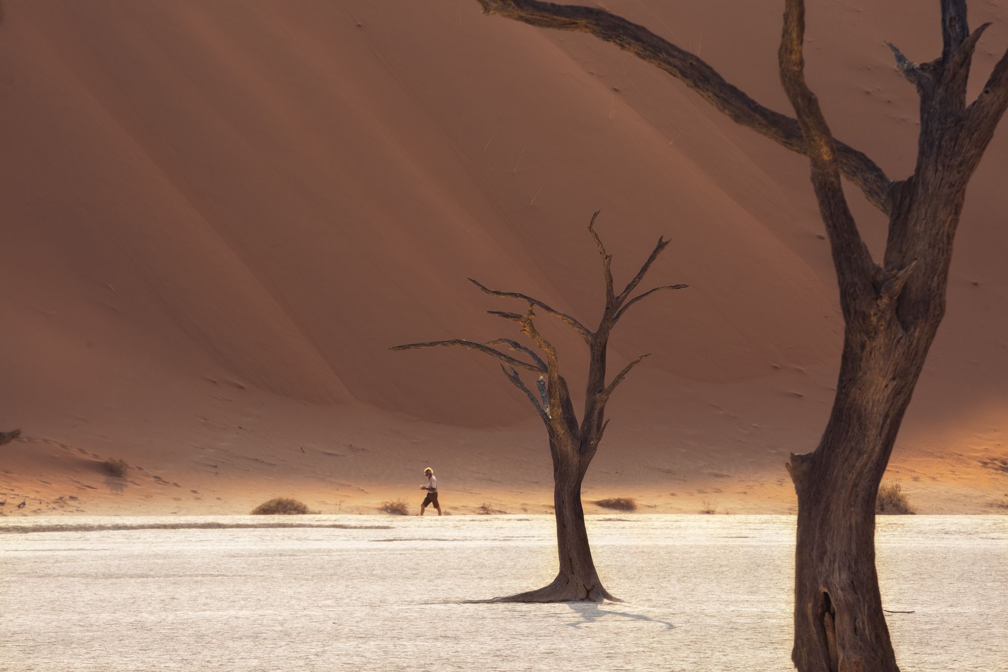 #намибия #африка #мертвые деревья #дюны #песок #акация #deadvlei  #Namibia #dune #tree, Наталия Деркач