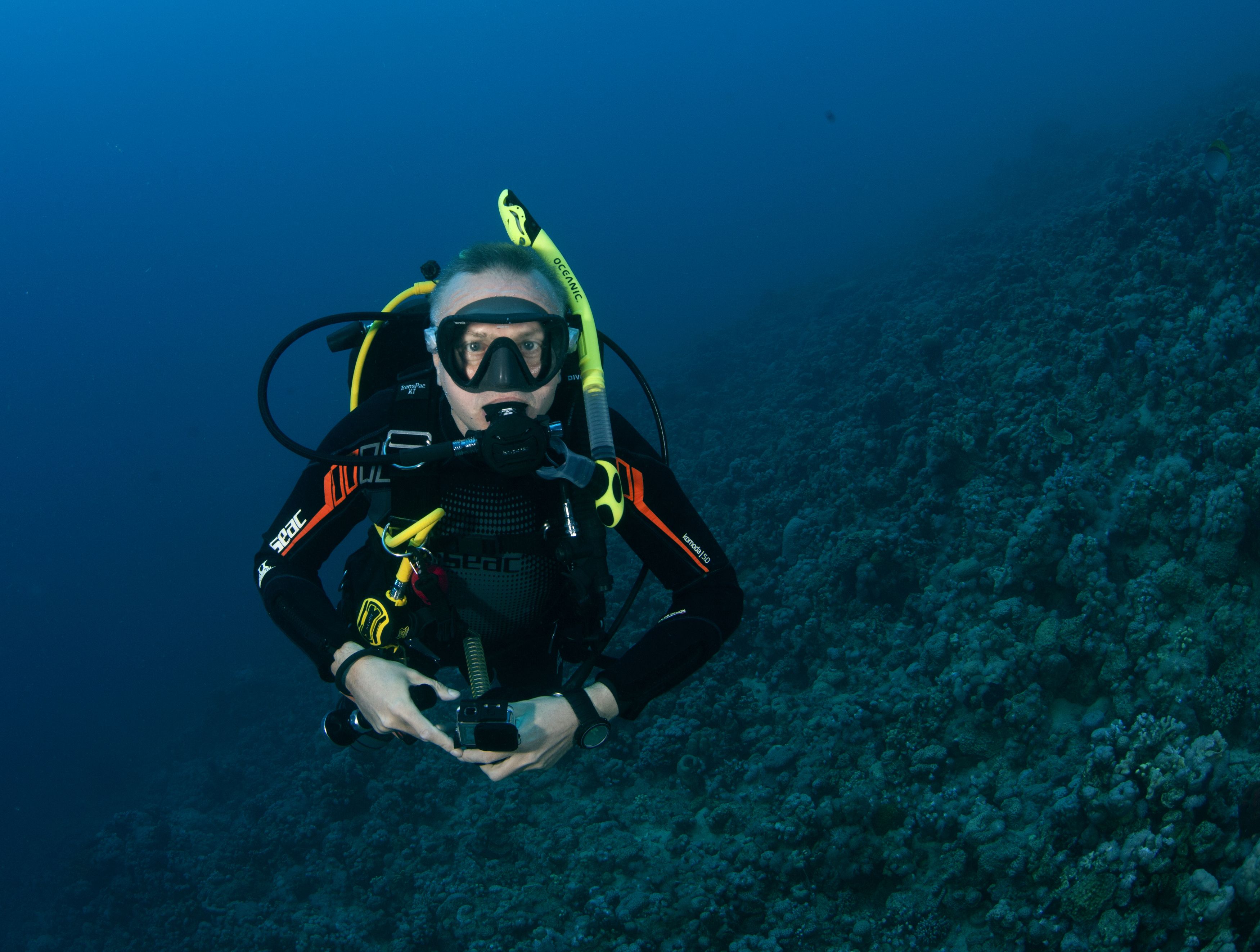 подводное фото подводный мир хургада египет жогло zhoglo красное море, Юрий Перевозников