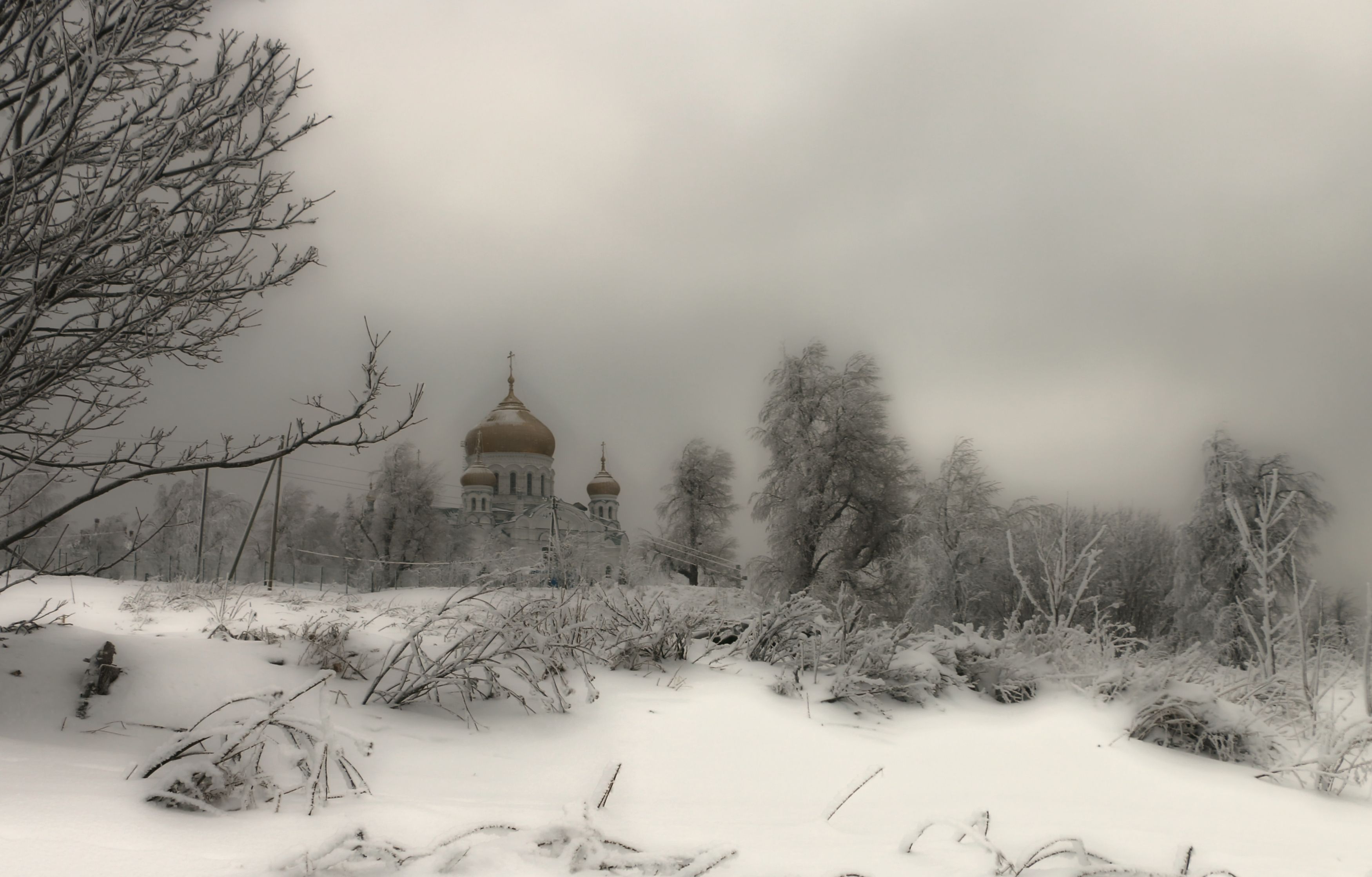 пермский край, гора белая, свято николаевский мужской монастырь,крестовоздвиженский собор, Сергей Марков