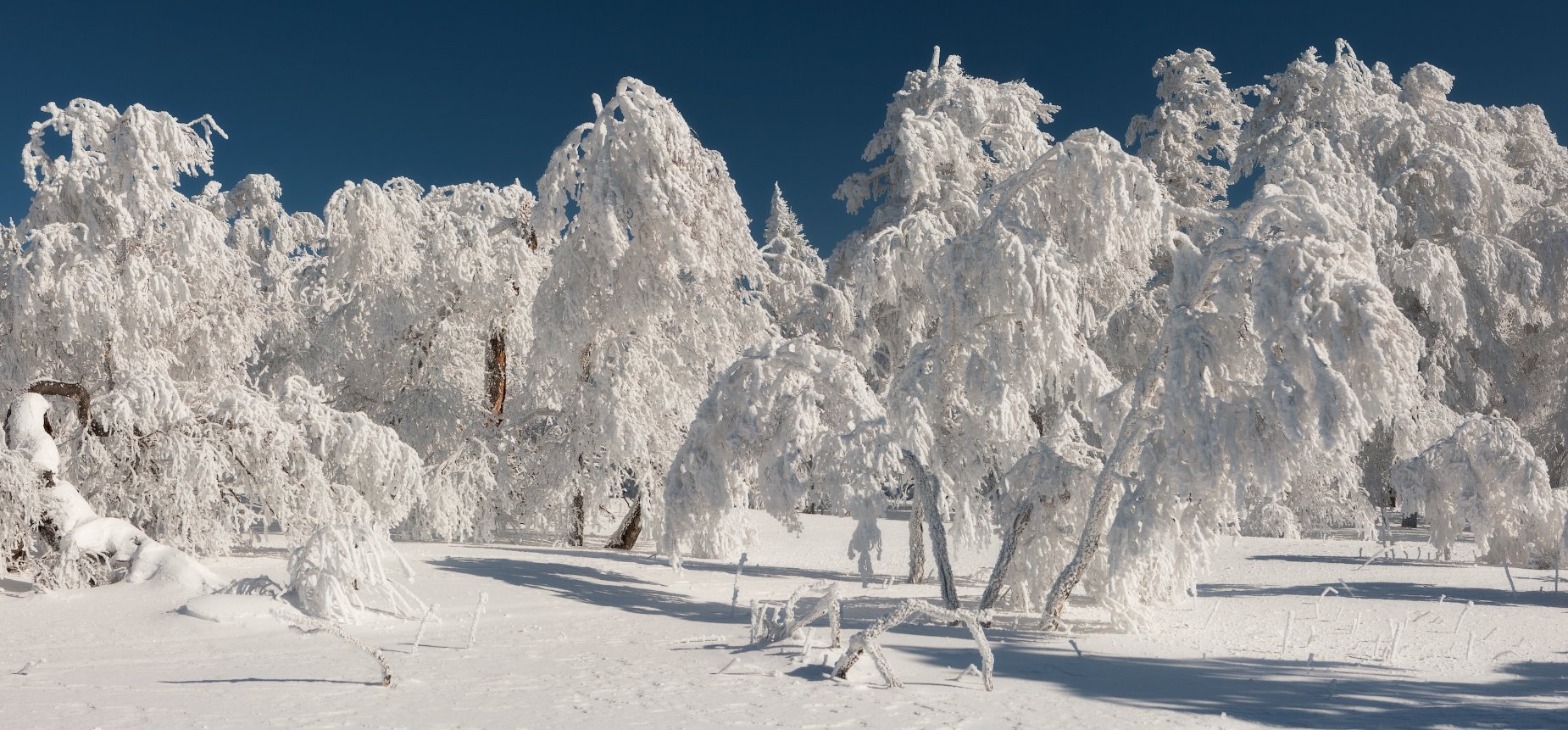 весна, иней, уреньга, южный урал, marateaman