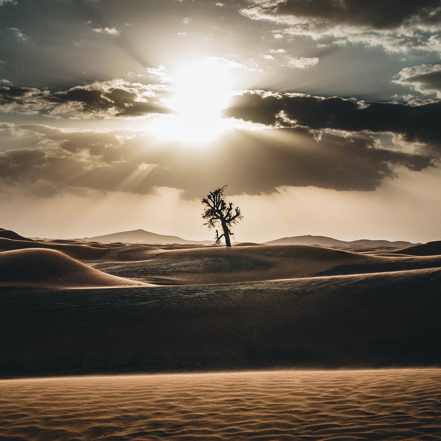 природа, пустыня, закат, пейзаж, landscape, Ефим Строганов