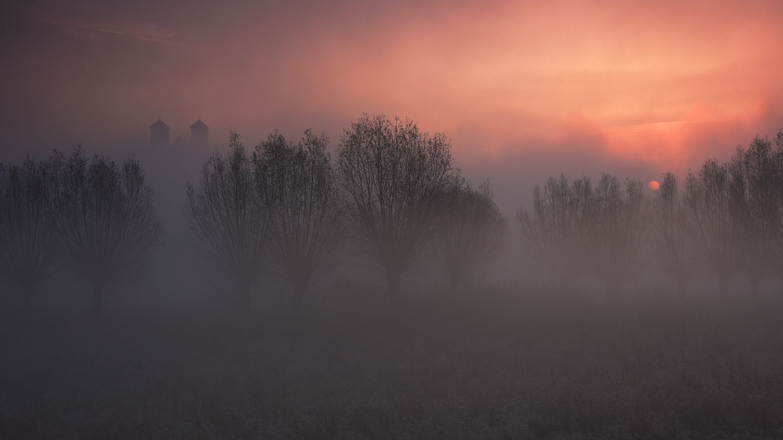 morning, sunrise, mist, mood, tree, willow, monastery, tower, tyniec, sky, sun,, Jacek Lisiewicz