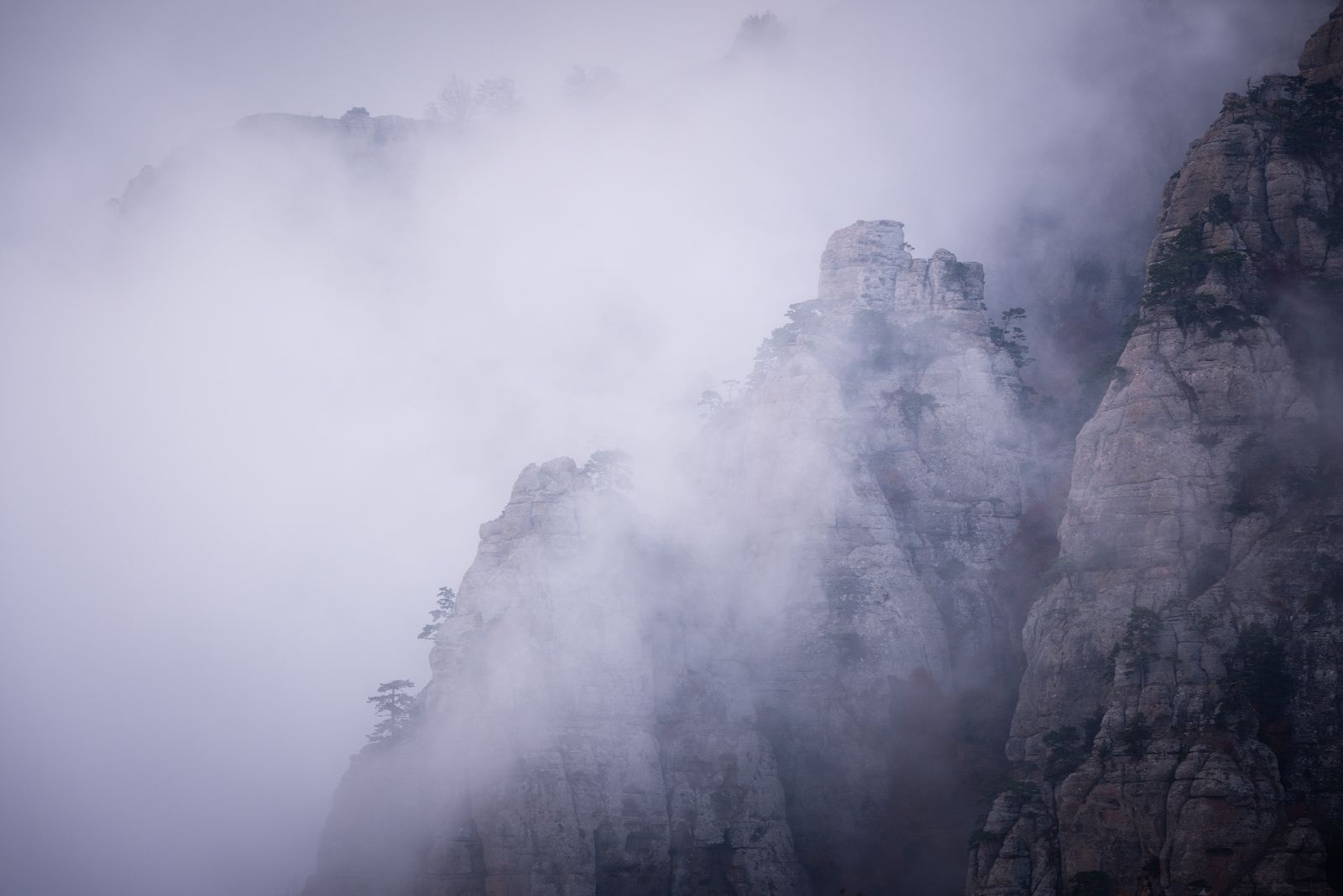 крым, туман, горы, демерджи, Олеся Боева