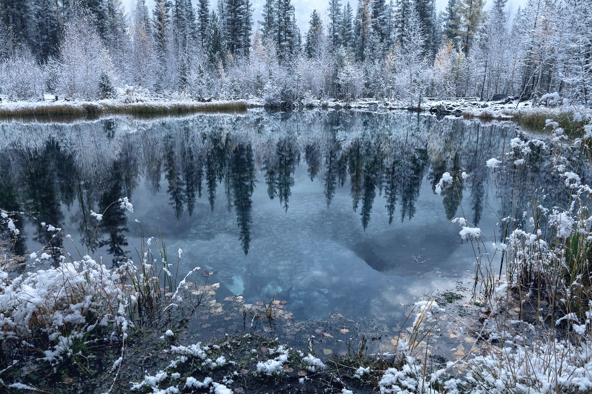 Алтай, Гейзерное озеро, отражение, первый снег., Марина Фомина
