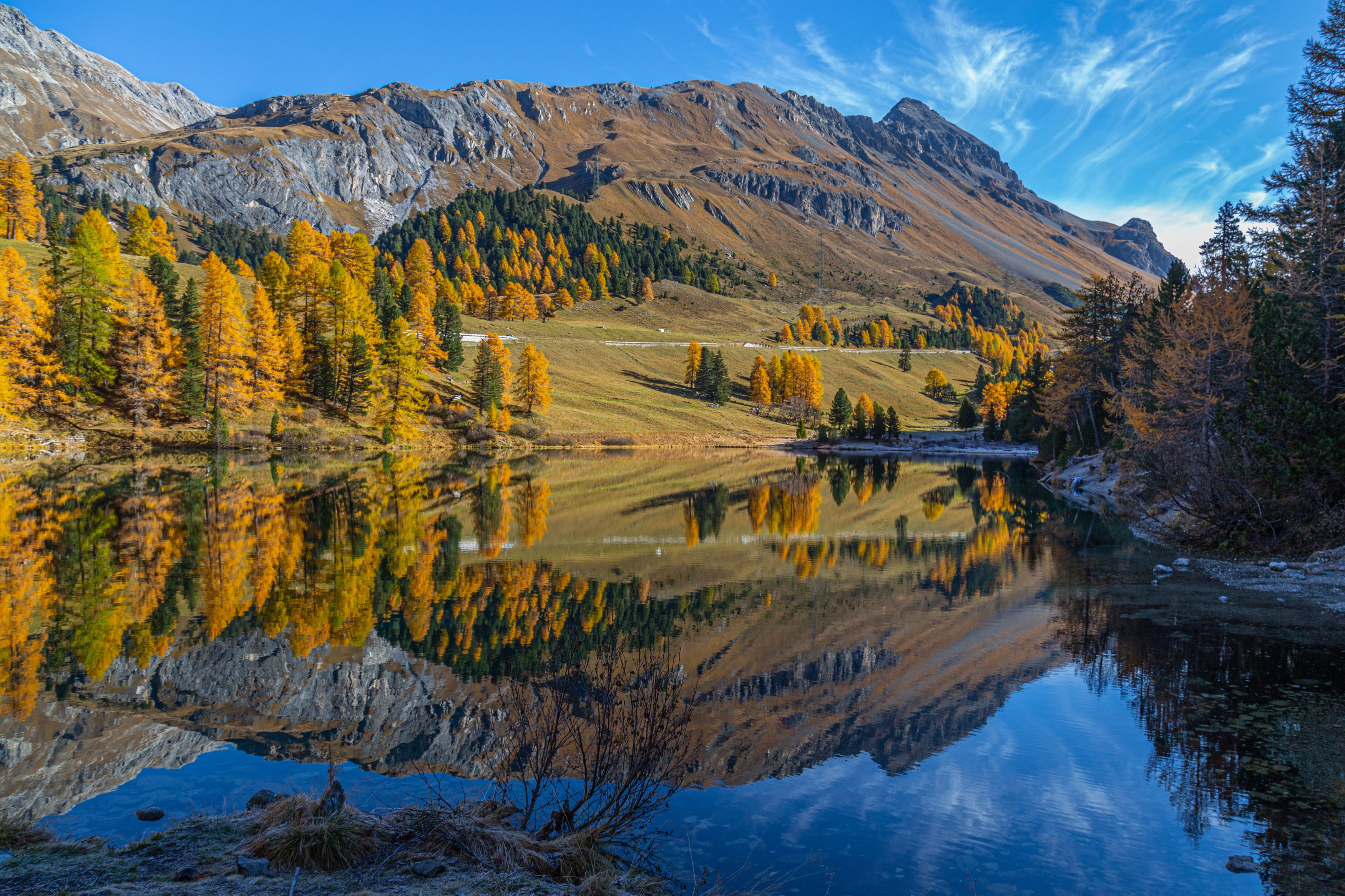lake, mirror, landscape, nature, mood, switzerland, flora, autumn, Michael Mettier
