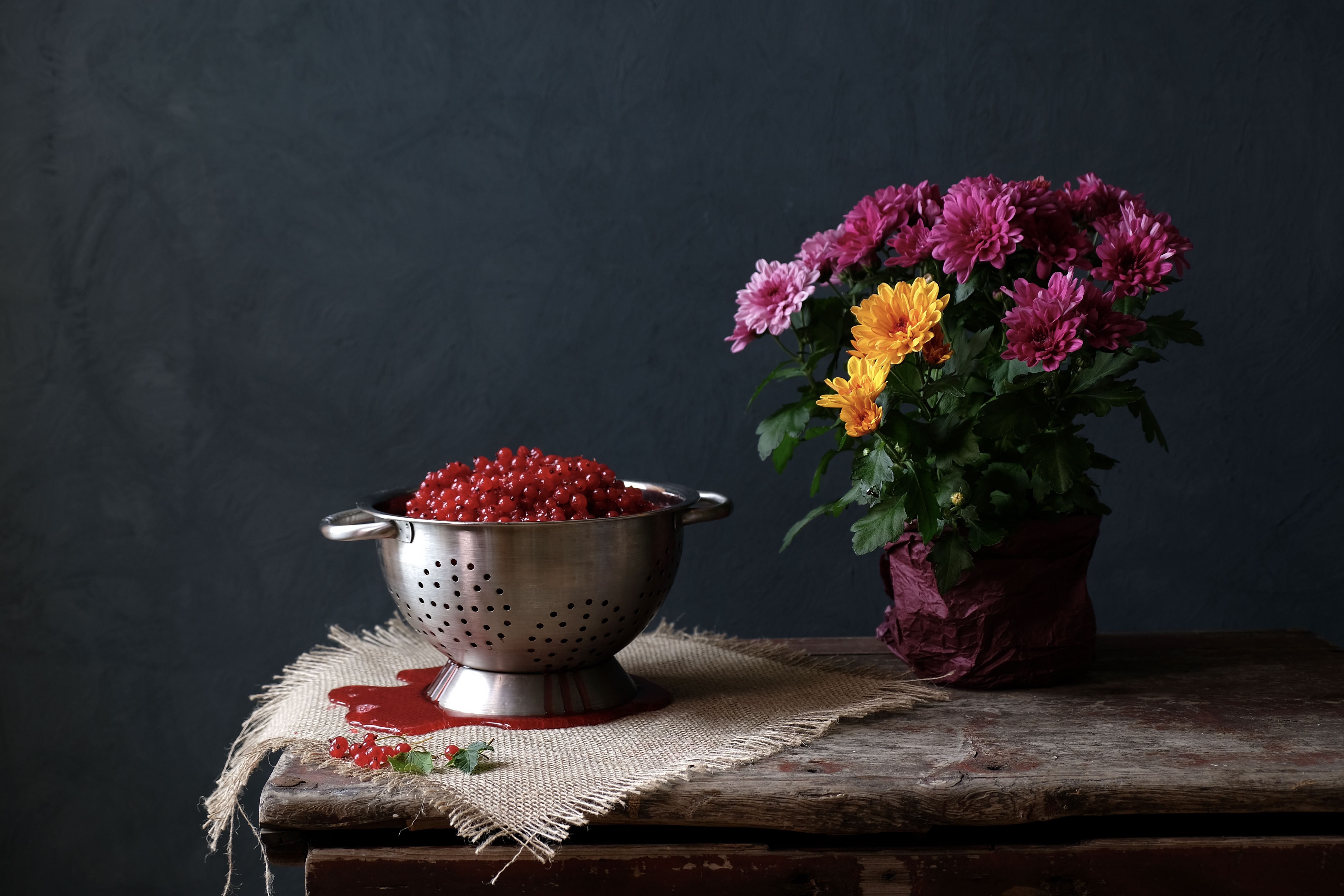 Still life, currant, berries, flowers, colors, juice, red, flora, chrysanthemum, food, , Svetlana Povarova Ree