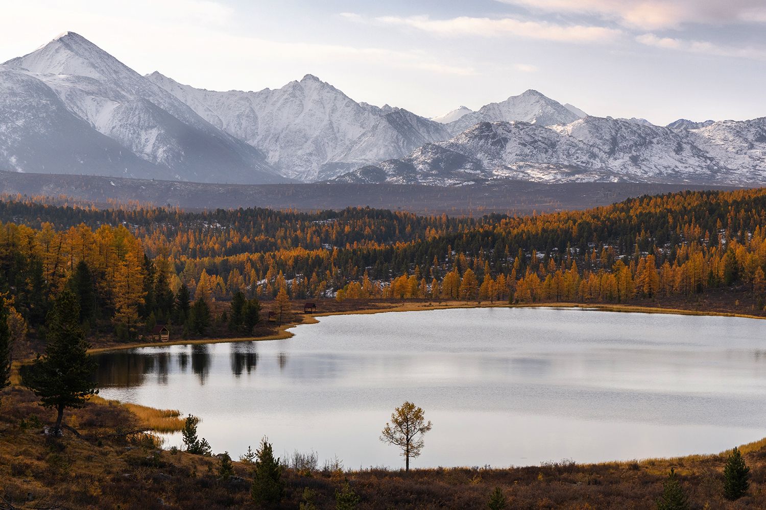 , Алексей Гурьев