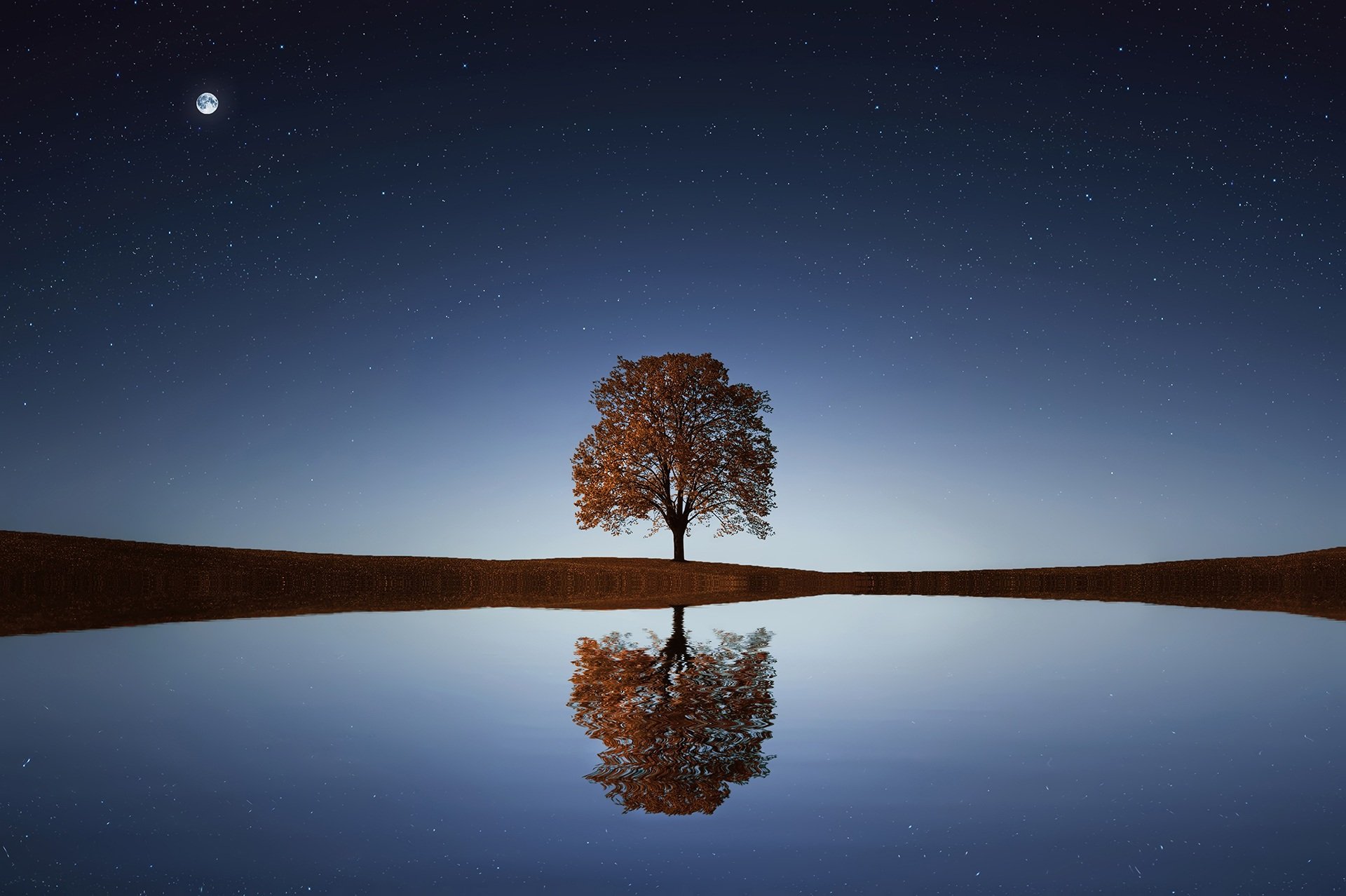 tree,lake,stars,reflection,water,, nino nino