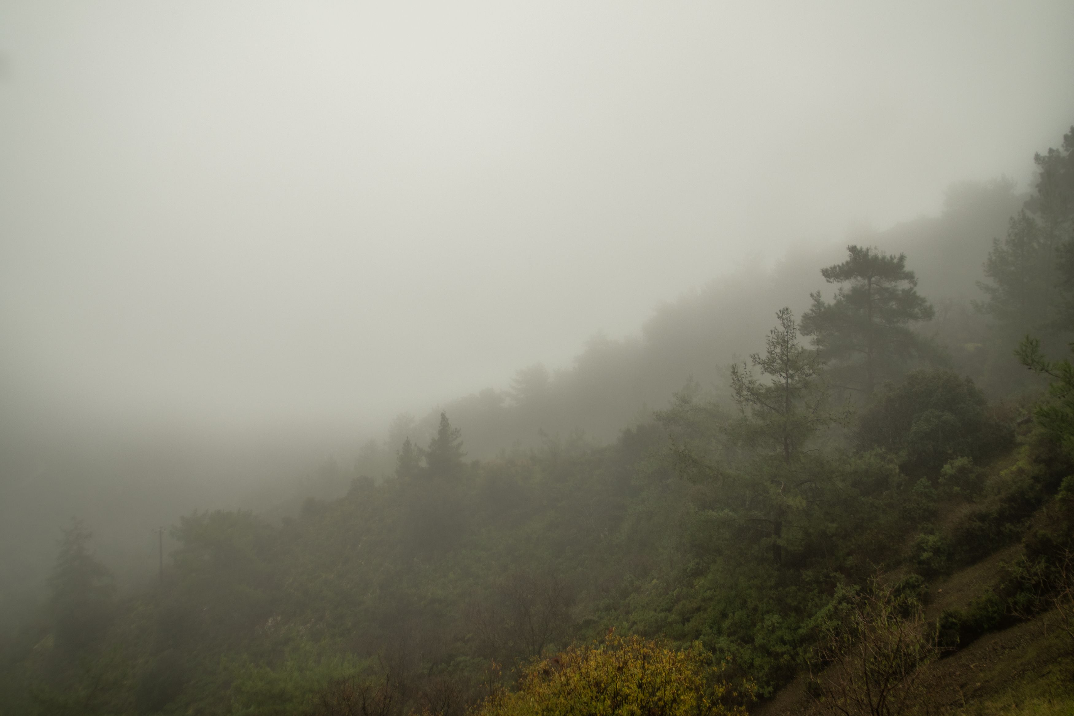горы, лес, туман, природа, облака, осень, landscape, nature, fog, fall, autumn, mountains, outdoors, Семён Кузнецов