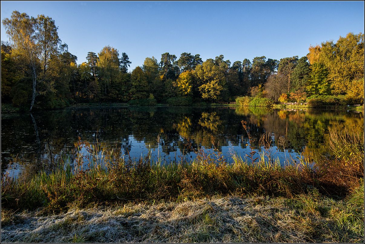 москва, осень, озеро, иней, лес, отражение, АНАТОЛИЙ ДОВЫДЕНКО