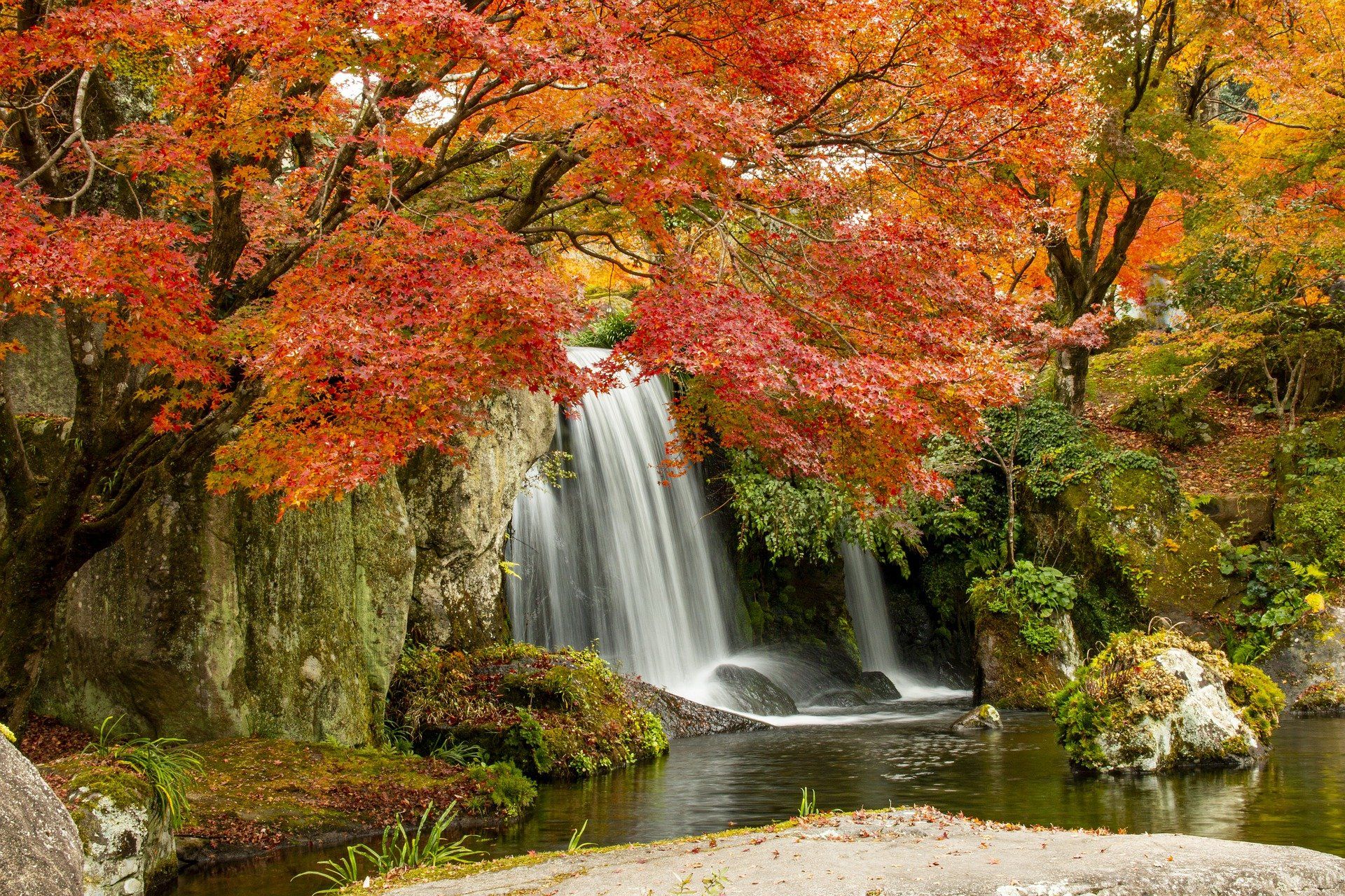 waterfall,nature,autumn,tree,, nino nino