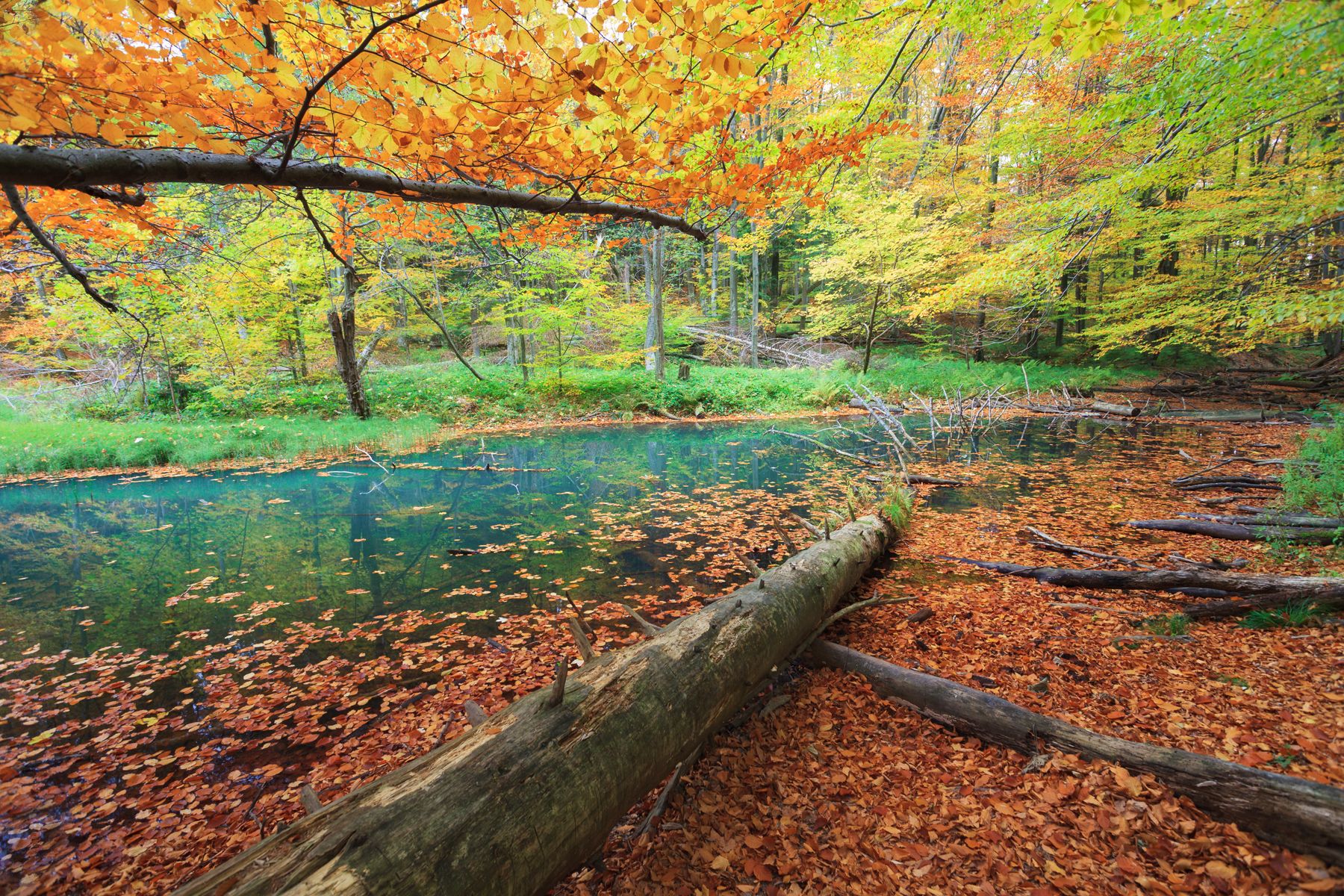autumn, lake, beskid niski, colors,  Mirosław Pruchnicki