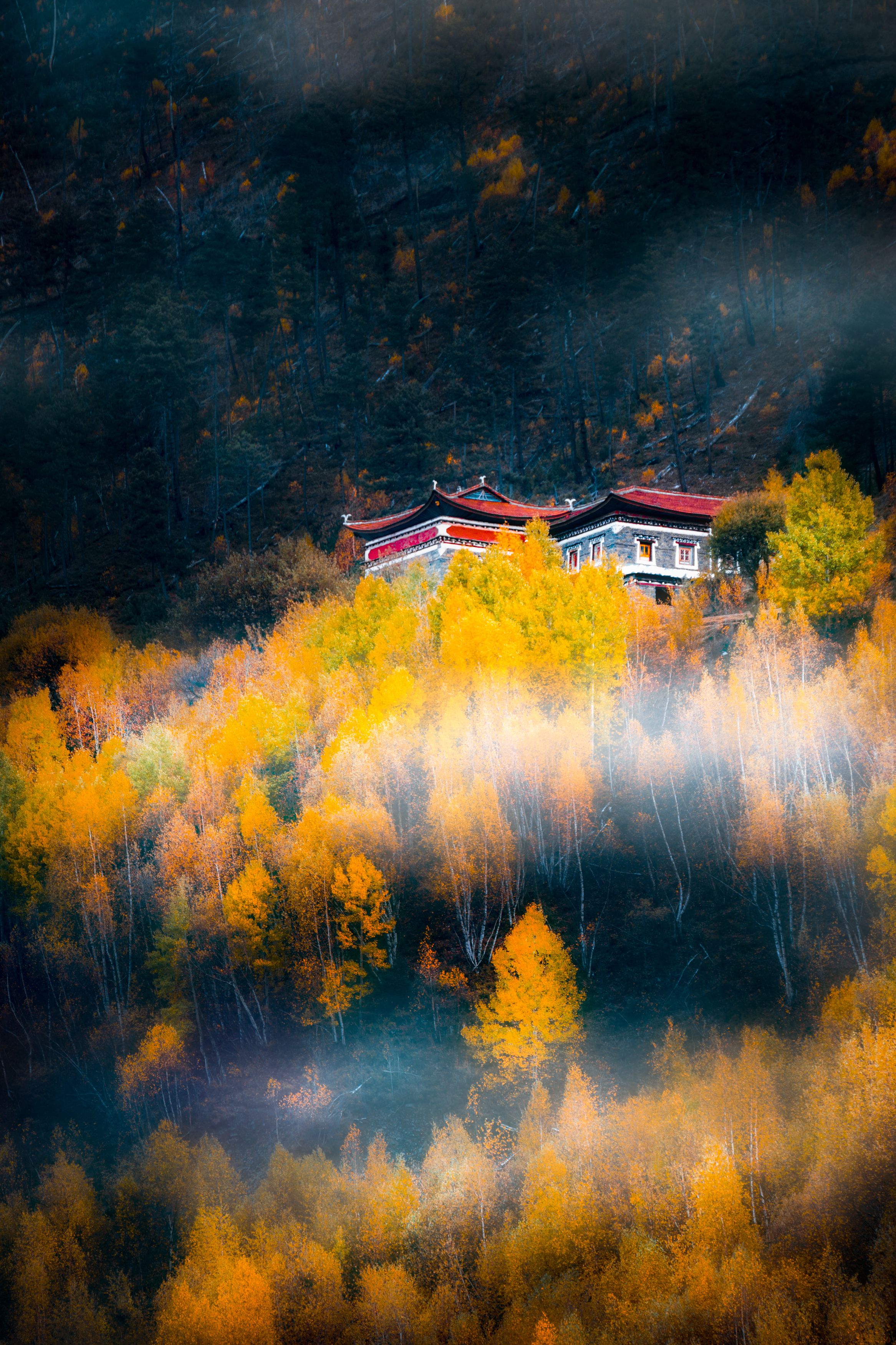秋天，森林，藏寨，傍晚, Jim Chen
