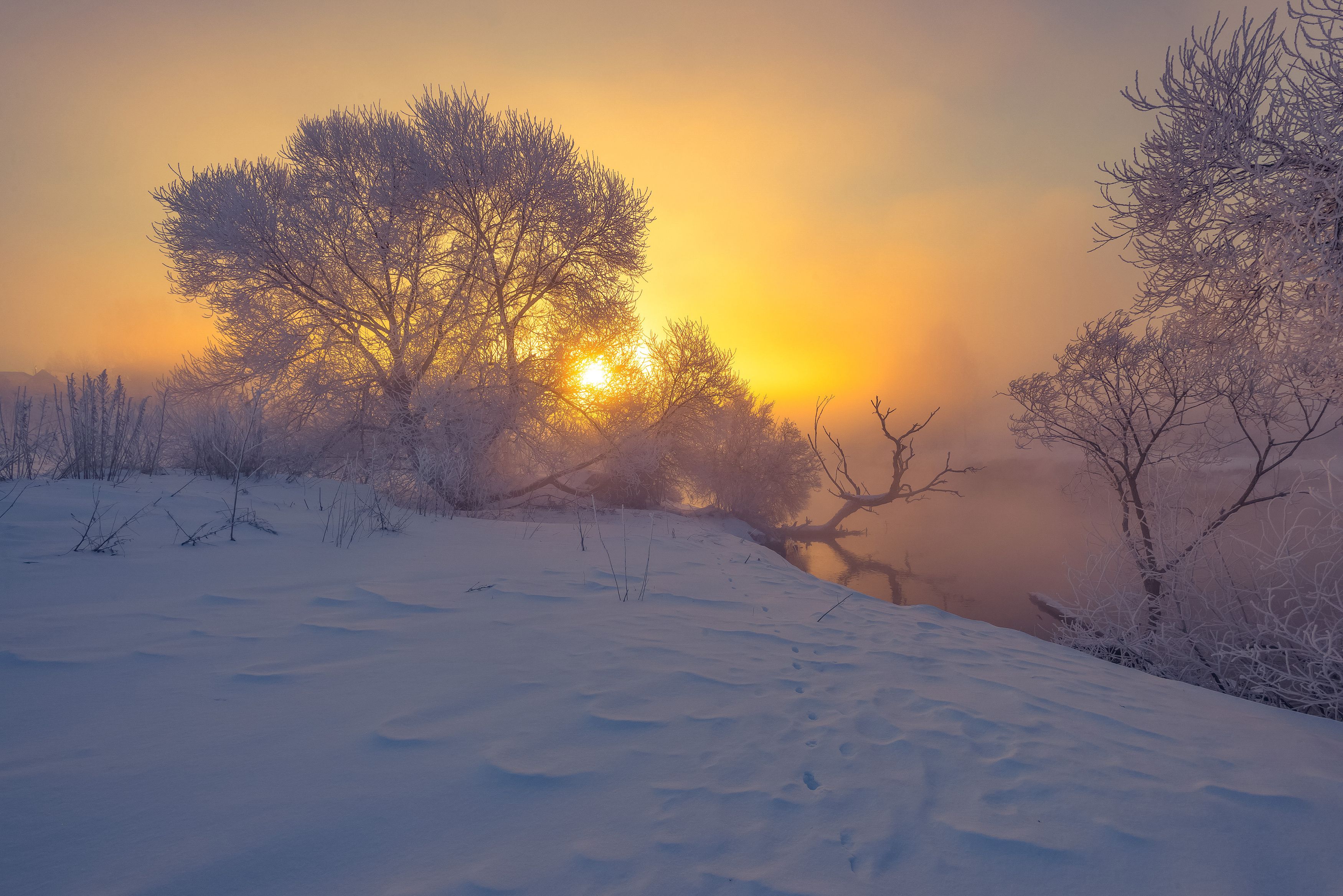 зима, рассвет, мороз, туман, Александр Гвоздь