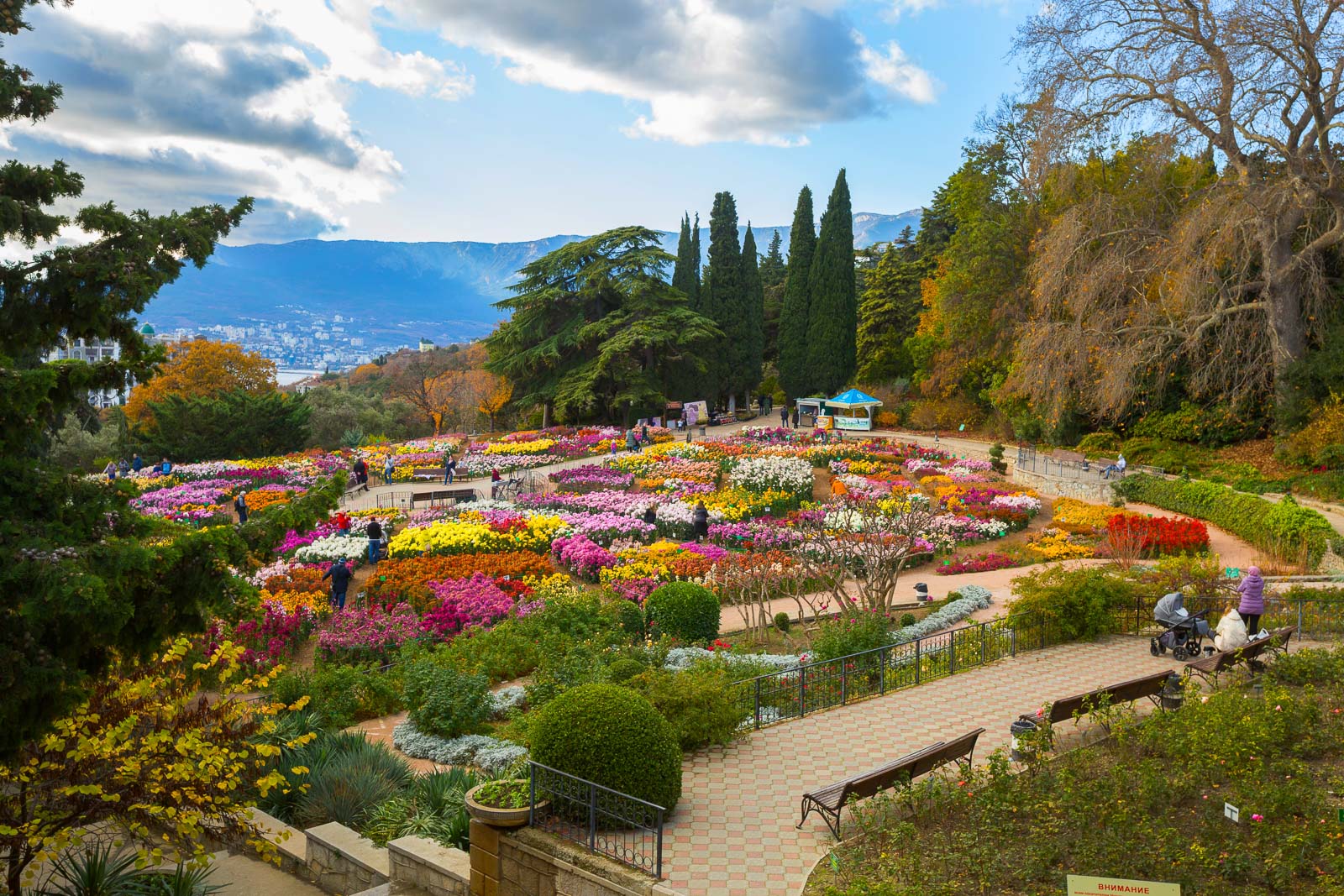 Никитский ботанический сад | Ландшафтный дизайн садов и парков