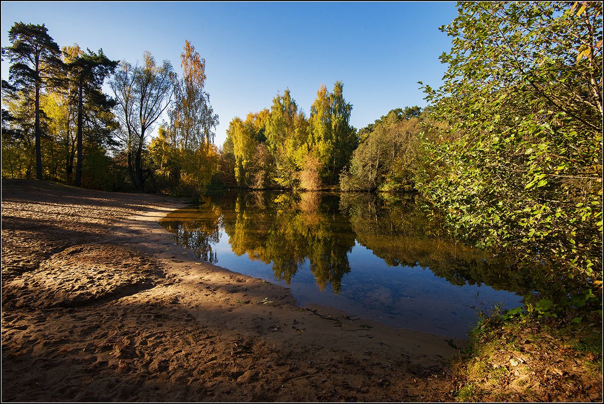 москва, осень, озеро, лес, отражение, АНАТОЛИЙ ДОВЫДЕНКО