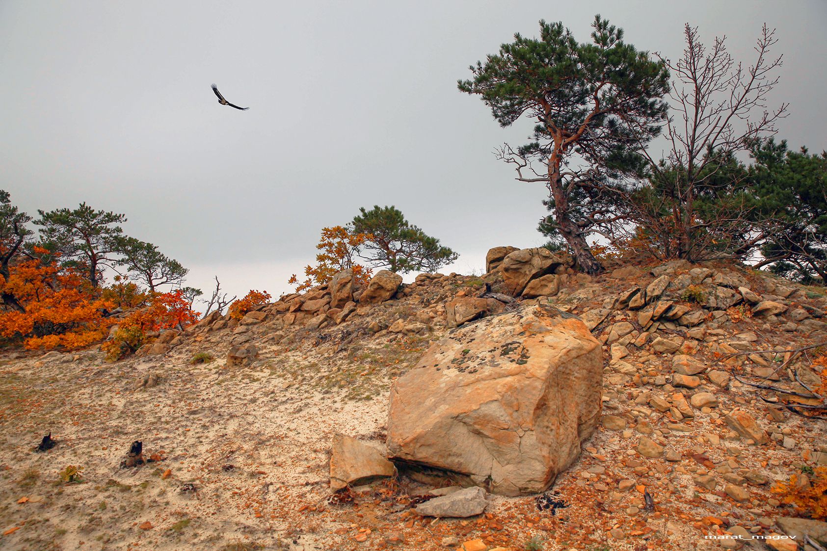 осень,горы,дагестан,пейзаж,, Marat Magov