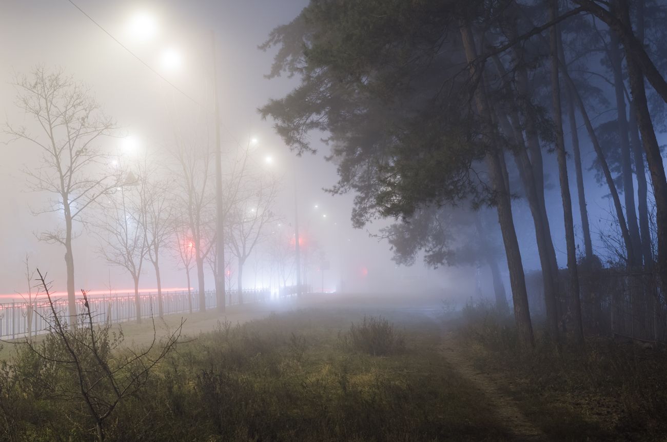 туман город лес, Галанзовская Оксана