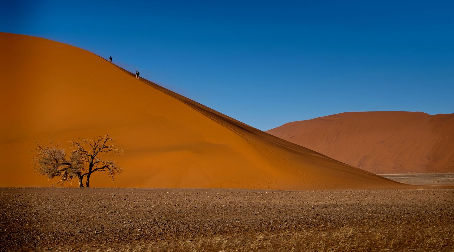 африка, намибия, соссусфлей, дюна, пустыня, намибия нд, песок, africa, нд, namibia, sossusflei, dune, desert, sand, пейзаж, природа, Демкина Надежда