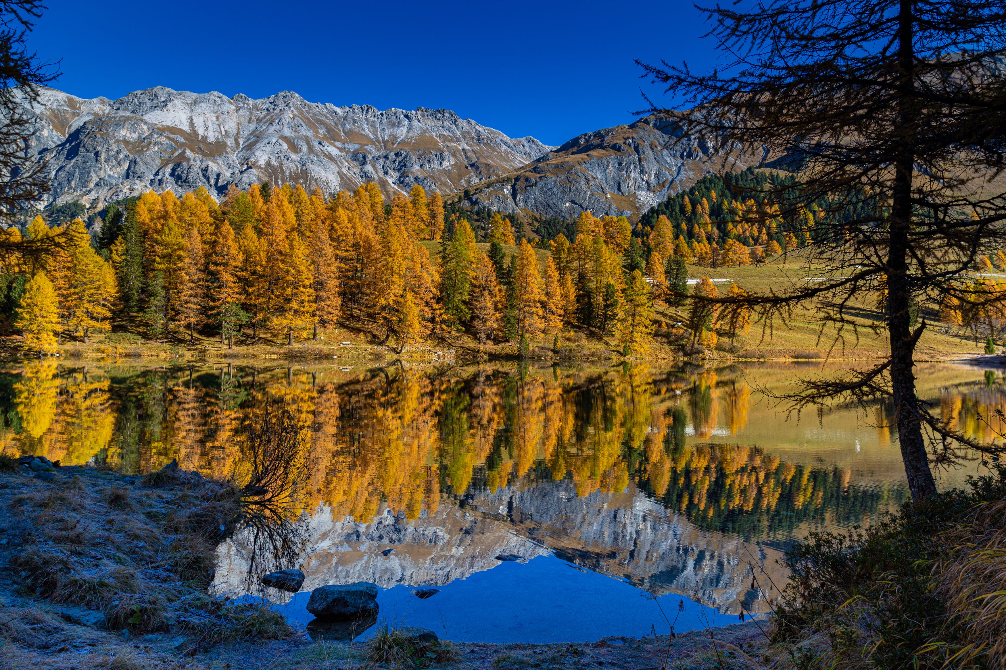 lake, palpuogna, switzerland, reflection, nature, landscape, autumn, water, colorful, Michael Mettier