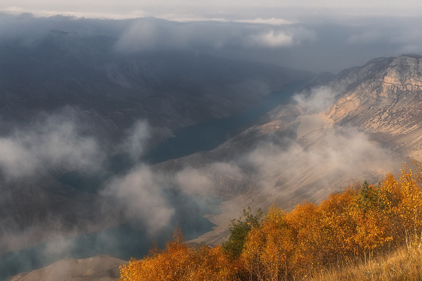 , Алексей Гурьев