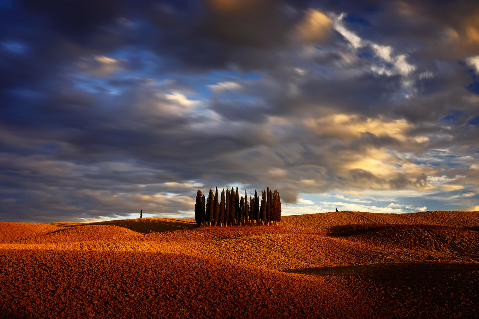 italy, tuscany, cypress, field, sunset, light, sky, evening, cloud,, Jacek Lisiewicz