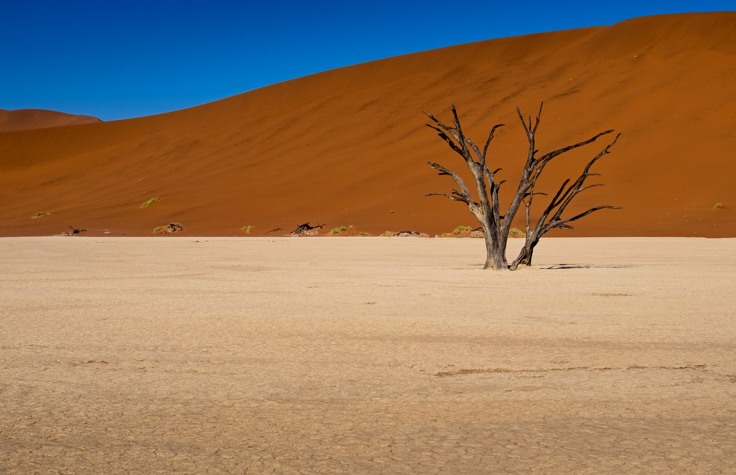 мертвая долина, долина смерти, соссусфлей, нд, намибия, пустыня намиб, пустыня, намибия нд, песок, дерево, дюна, пейзаж, природа,сухое дерево, dead valley, death valley, sossusvlei, namibia, namib desert, desert, sand, tree, dune, dry tree, Демкина Надежда