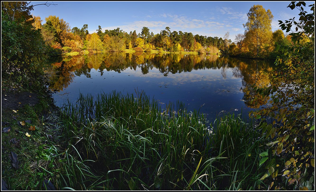 москва, осень, озеро, лес, отражение, панорама, АНАТОЛИЙ ДОВЫДЕНКО