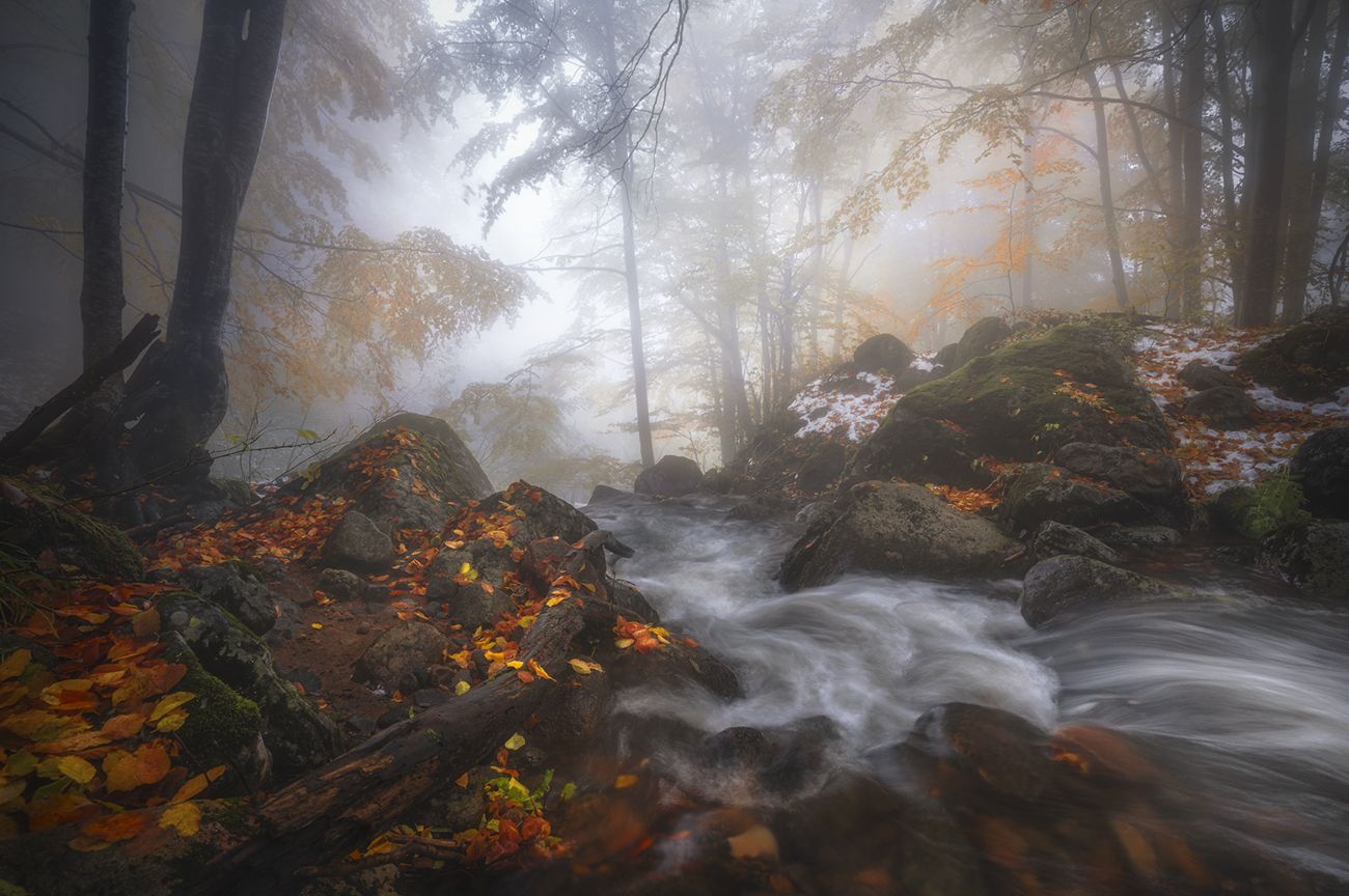landscape nature scenery forest wood autumn mist misty fog foggy river colors leaves mountain vitosha bulgaria лес, Александър Александров
