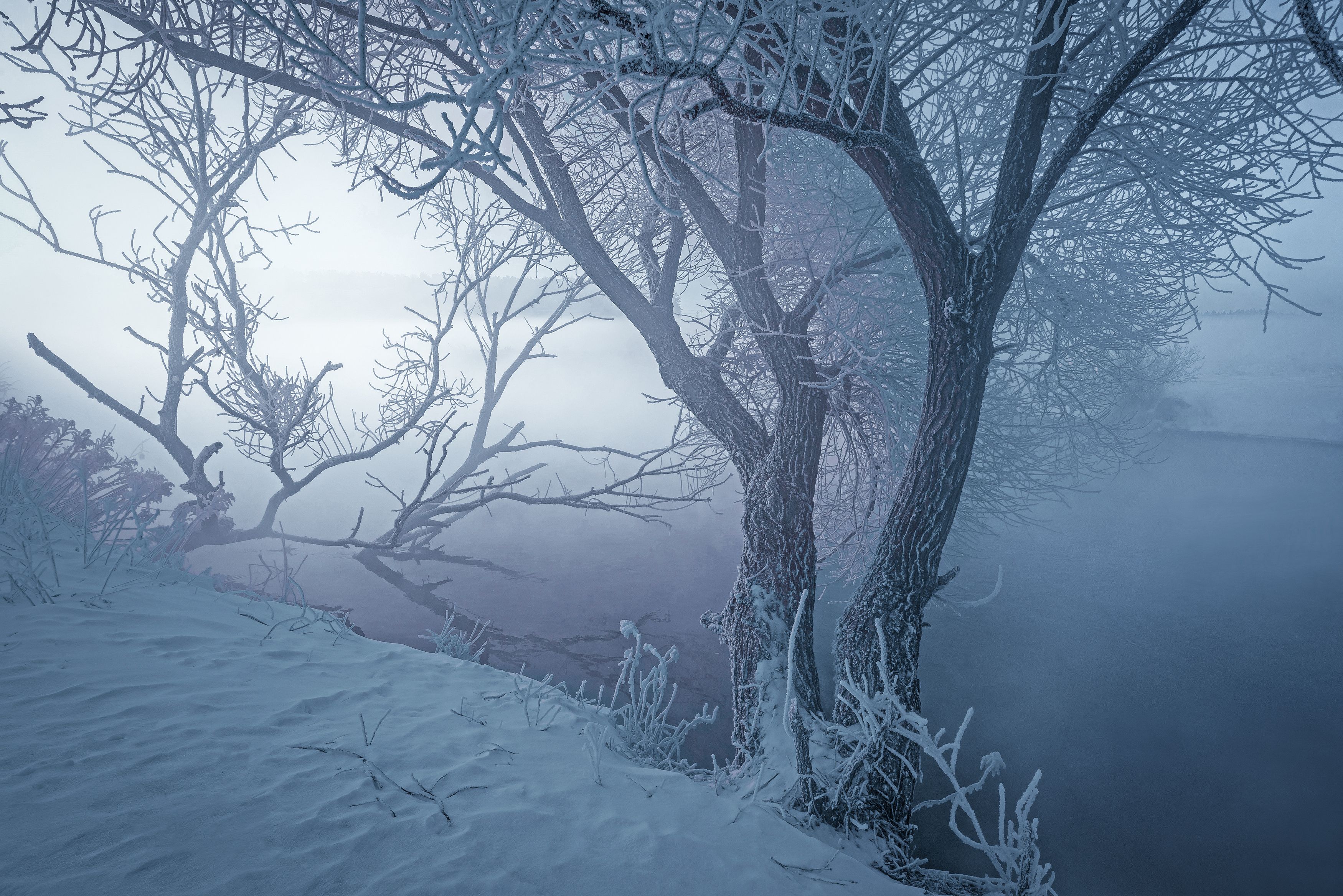 зима, утро, мороз, туман, Александр Гвоздь