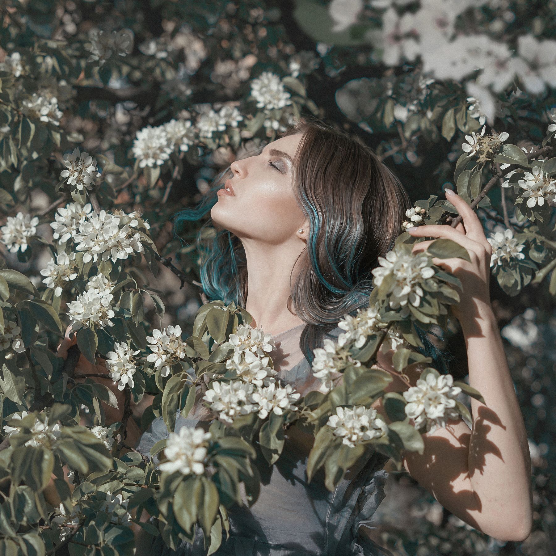 яблоня, цветение, девушка, модель, Екатерина Кулакова