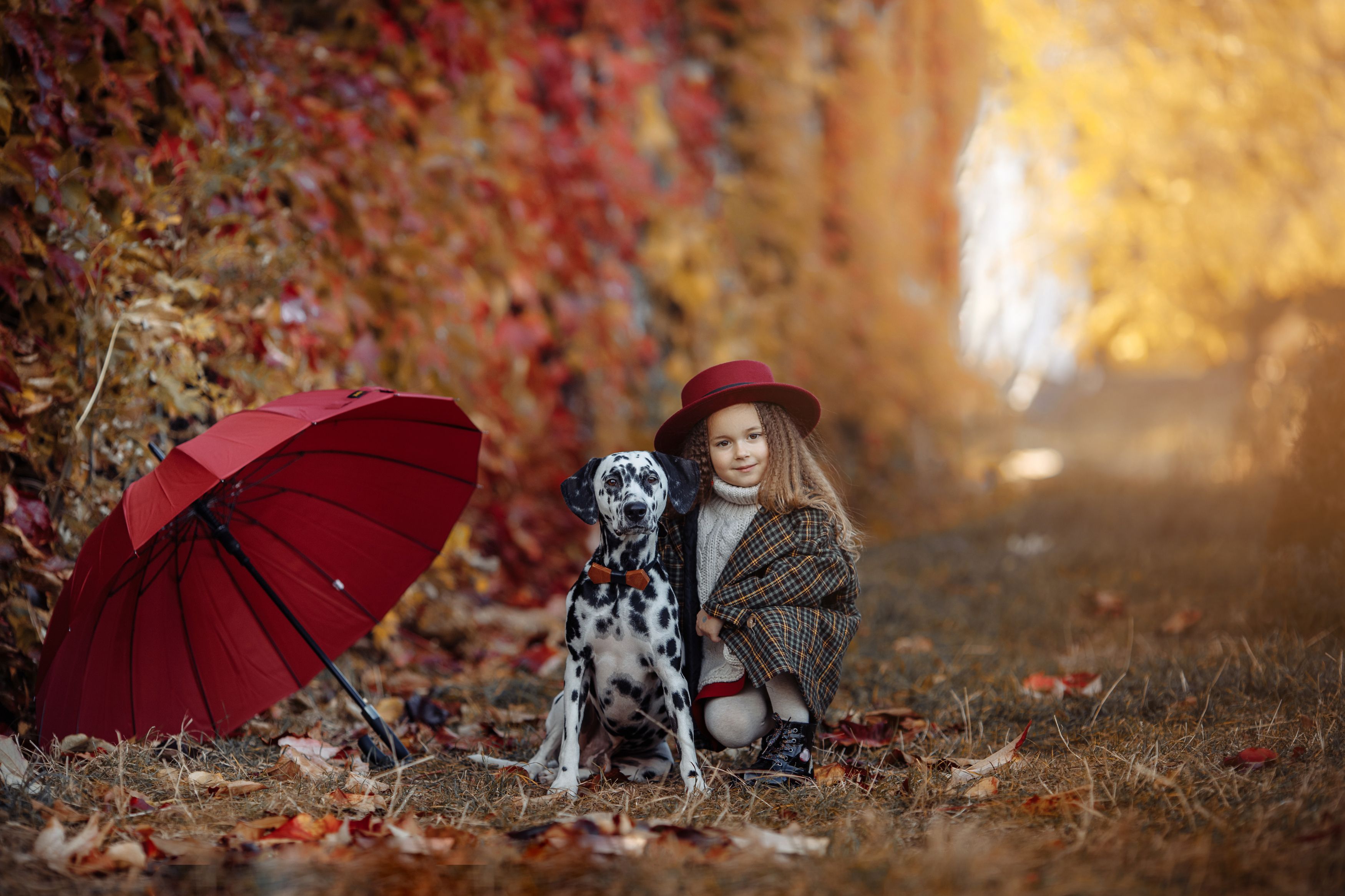 детское фото, далматинец, осень, дети, baby photo, dalmatian, autumn, children, Валентина